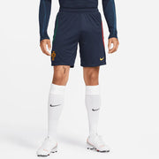 Nike 2022-23 Portugal Strike Knit Shorts (Model - Front)