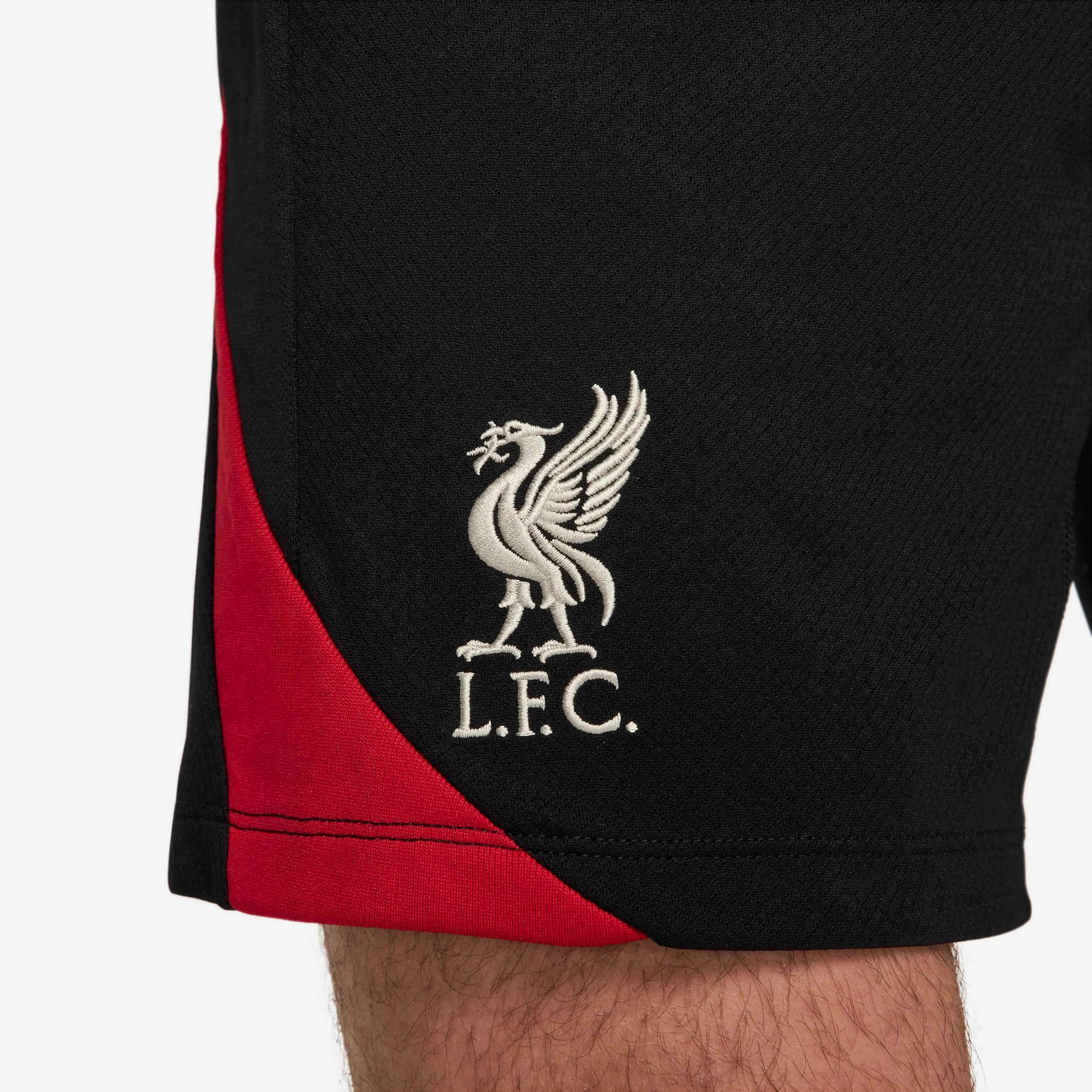 Nike 2024-25 Liverpool Men's Strike Shorts (Detail 3)