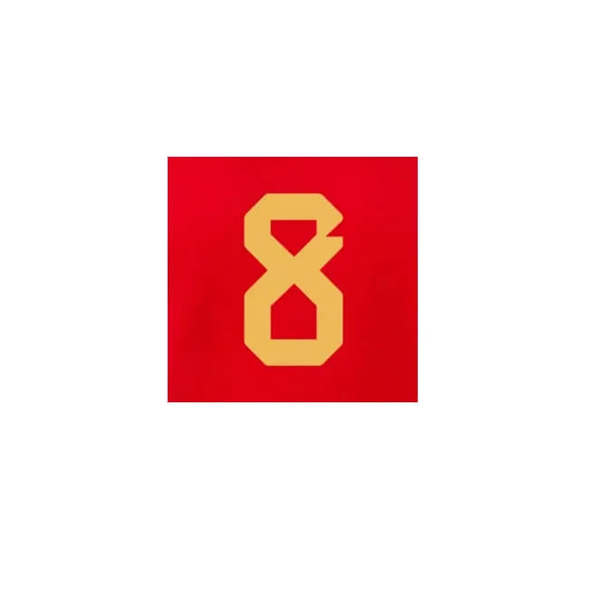 Belgium 2022-23 Home Tielemans #8 Jersey Name Set (Front)
