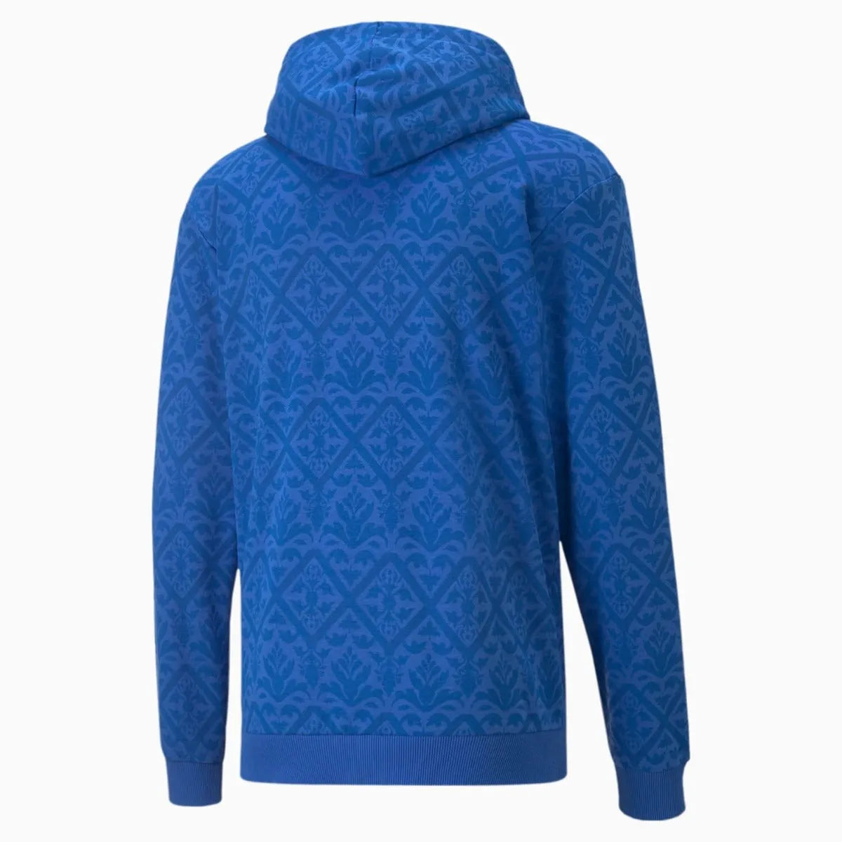 Puma 2022 Italy Graphic Winner Hoody - Royal  (Back)