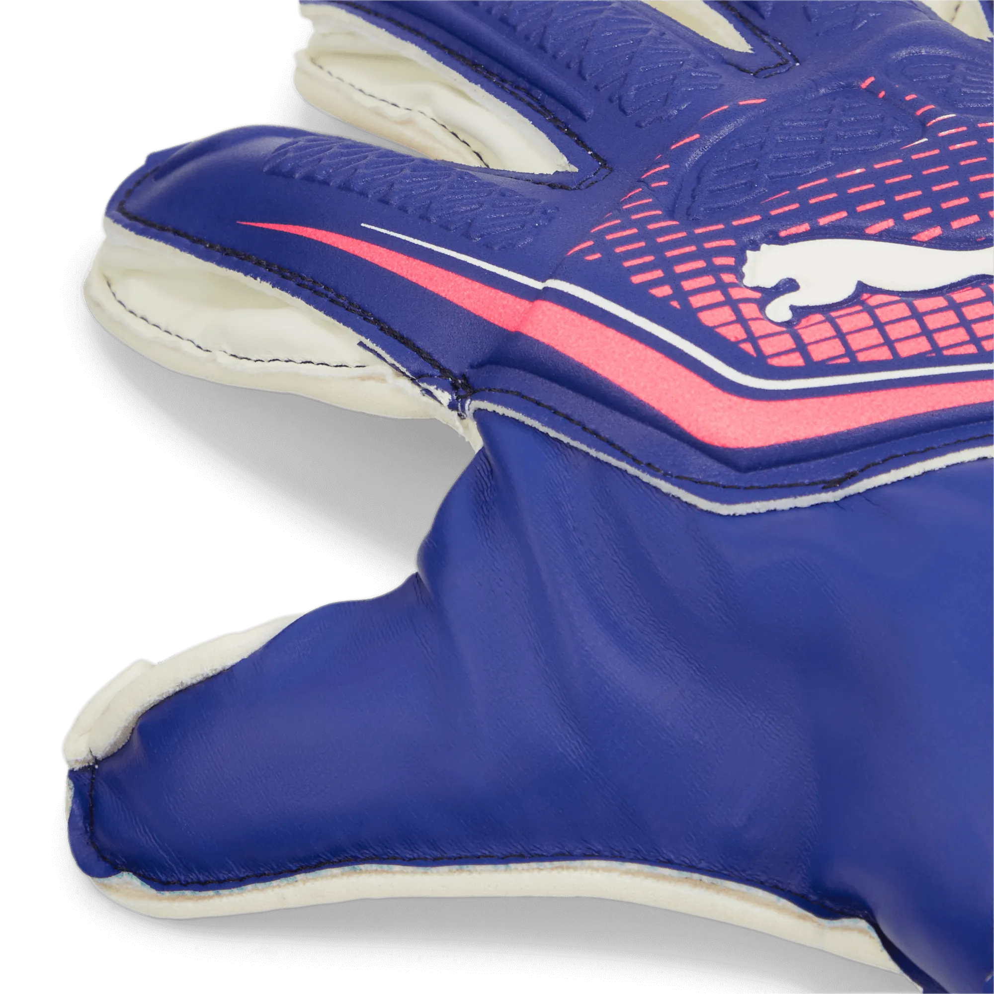 Puma JR Match Protect RC Goalkeeper Gloves (Detail 1)