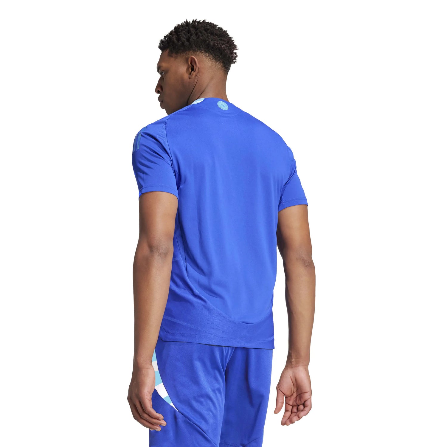 adidas 2024-25 Argentina Men's Authentic Away Jersey (Model - Back)