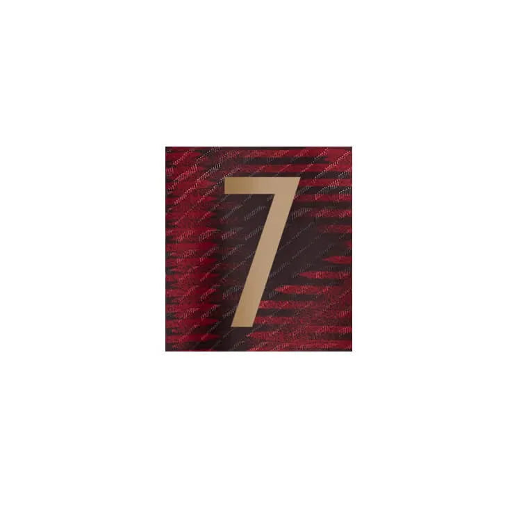 Germany 2022-23 Away Havertz #7 Jersey Name Set (Front)