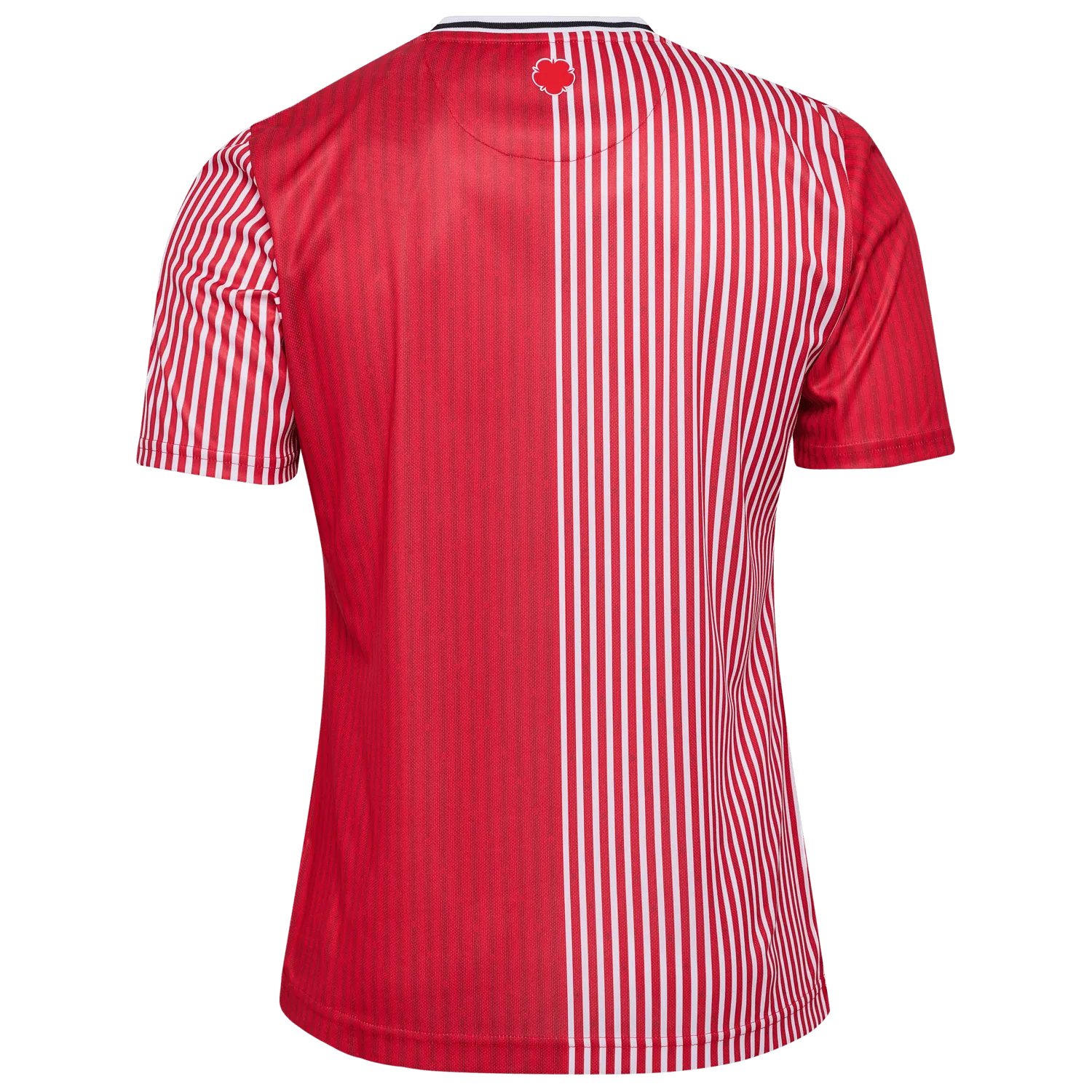Hummel 2023-24 Southampton Stadium Home Jersey (Back)