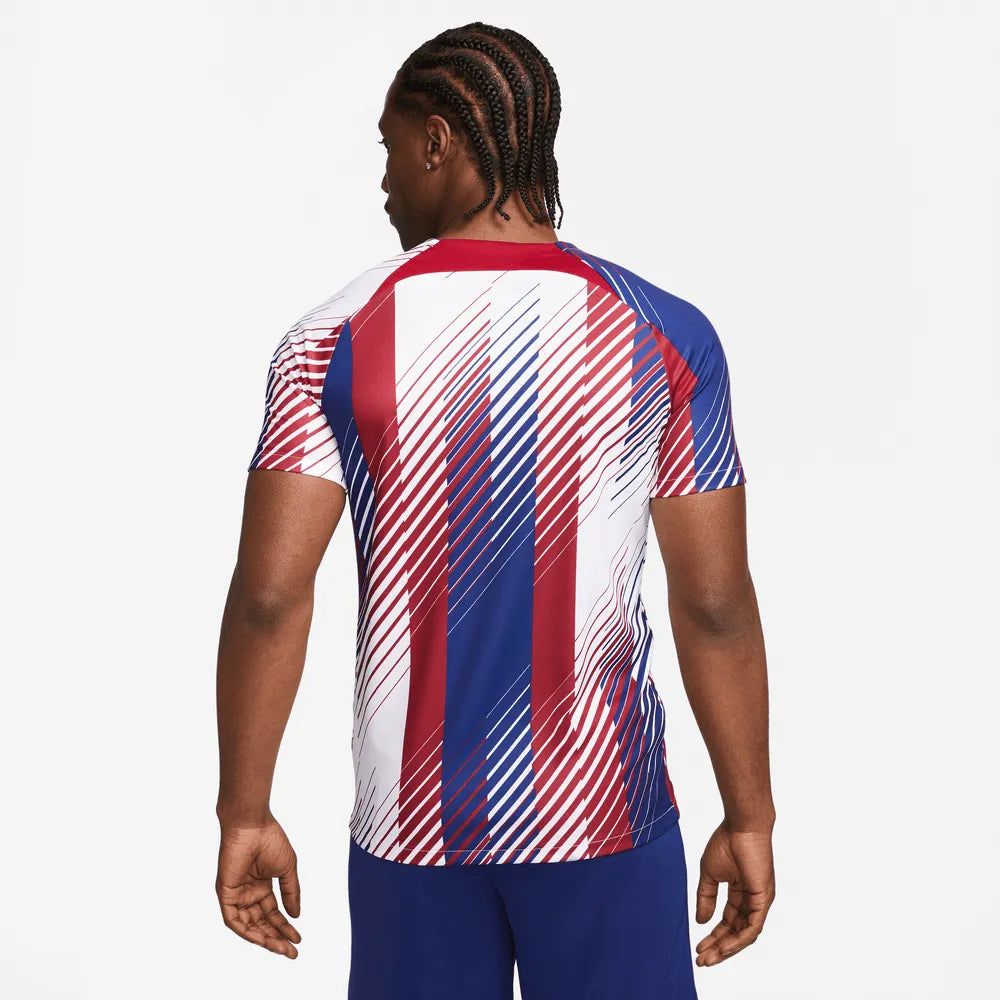 Nike 2023-24 Barcelona Men's Home Pre-Match Jersey (Model - Back)