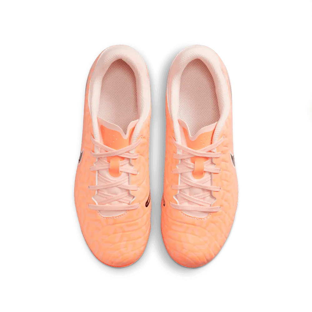 Nike JR Legend 10 Academy FG-MG - United Pack (FA23) (Pair - Top)