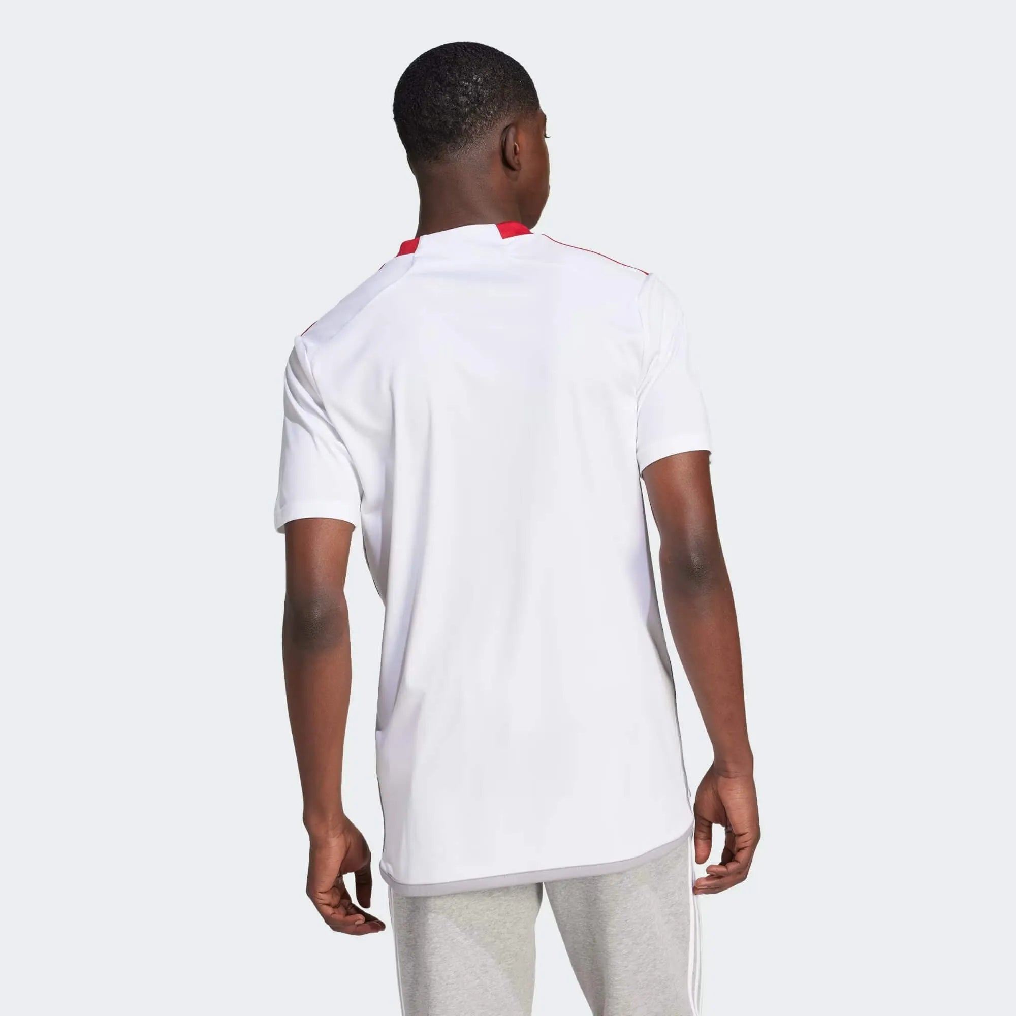 adidas 2024-25 Toronto FC Men's Stadium Away Jersey (Model - Back)