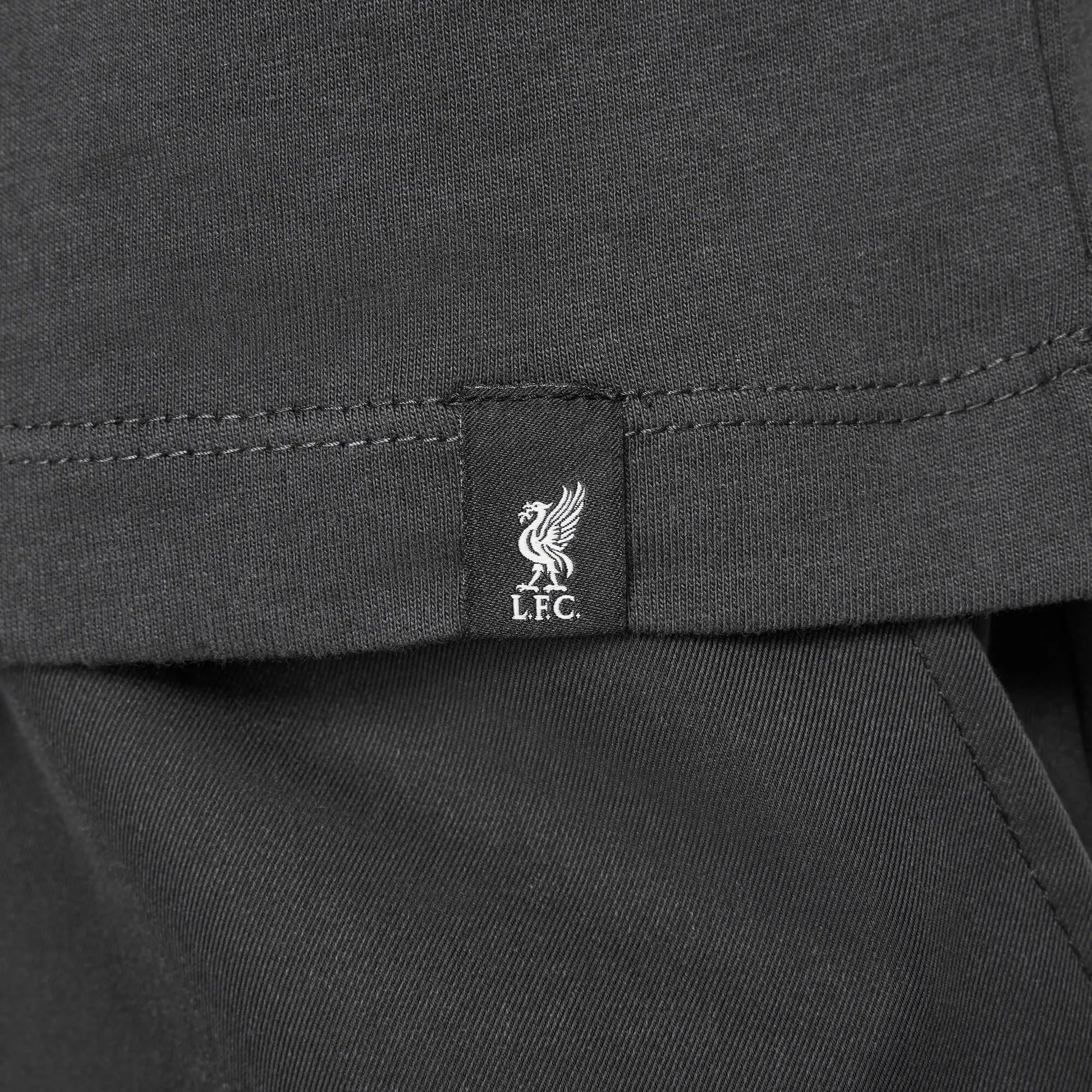 Nike 2024-25 Liverpool Youth Swoosh Tee (Detail 2)