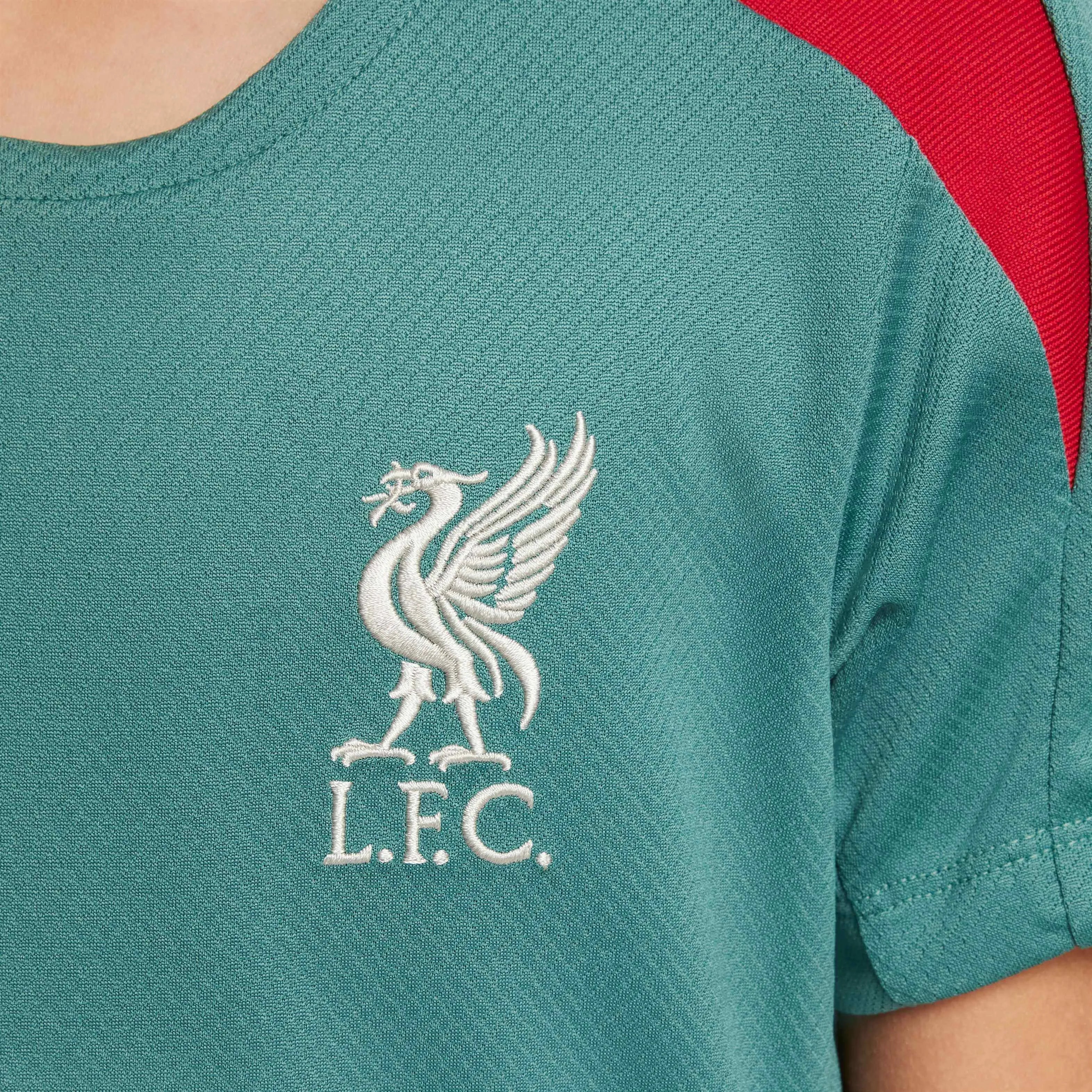 Nike 2024-25 Liverpool Youth Strike Top (Detail 3)