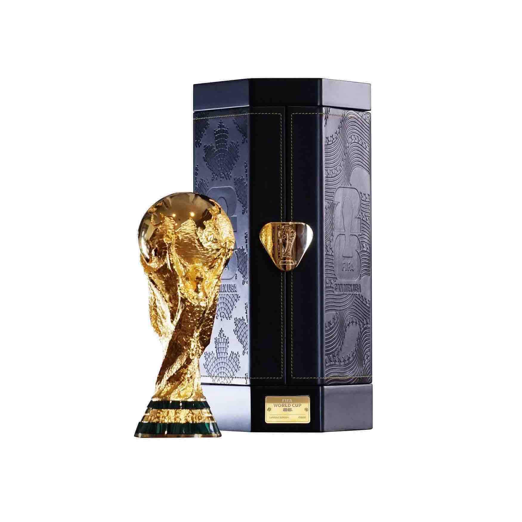 FIFA 260mm Premium Trophy Replica (Trophy and Case - Front)