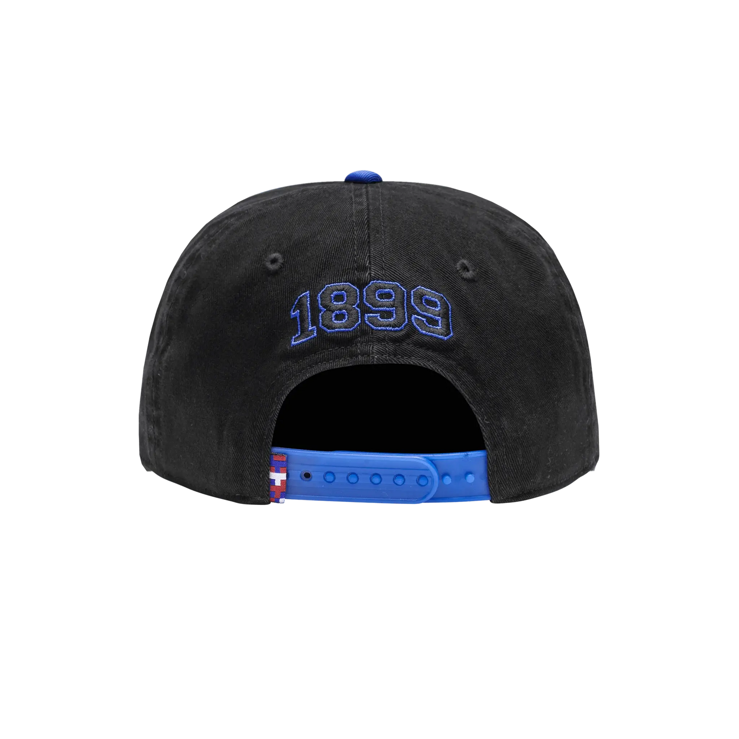 Fan Ink Collection Barcelona Wander Snapback Hat (Back)