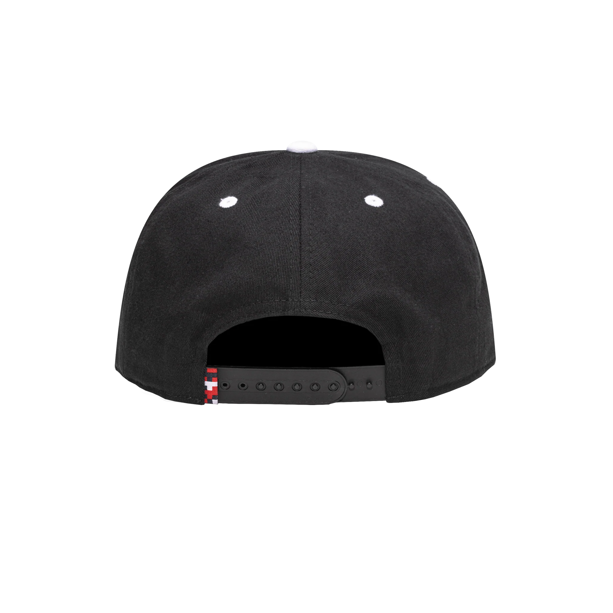 Fan Ink Collection USA Bankroll Snapback Hat (Back)