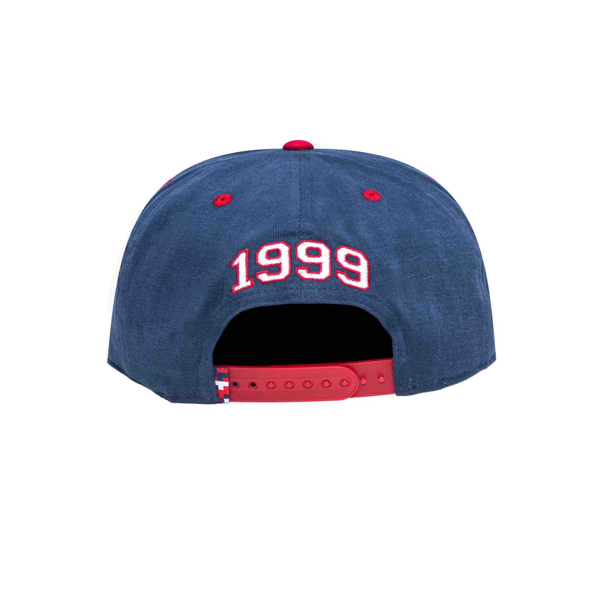 Fan Ink Collection USA Swingman Snapback Hat Navy-Burgundy (Back)