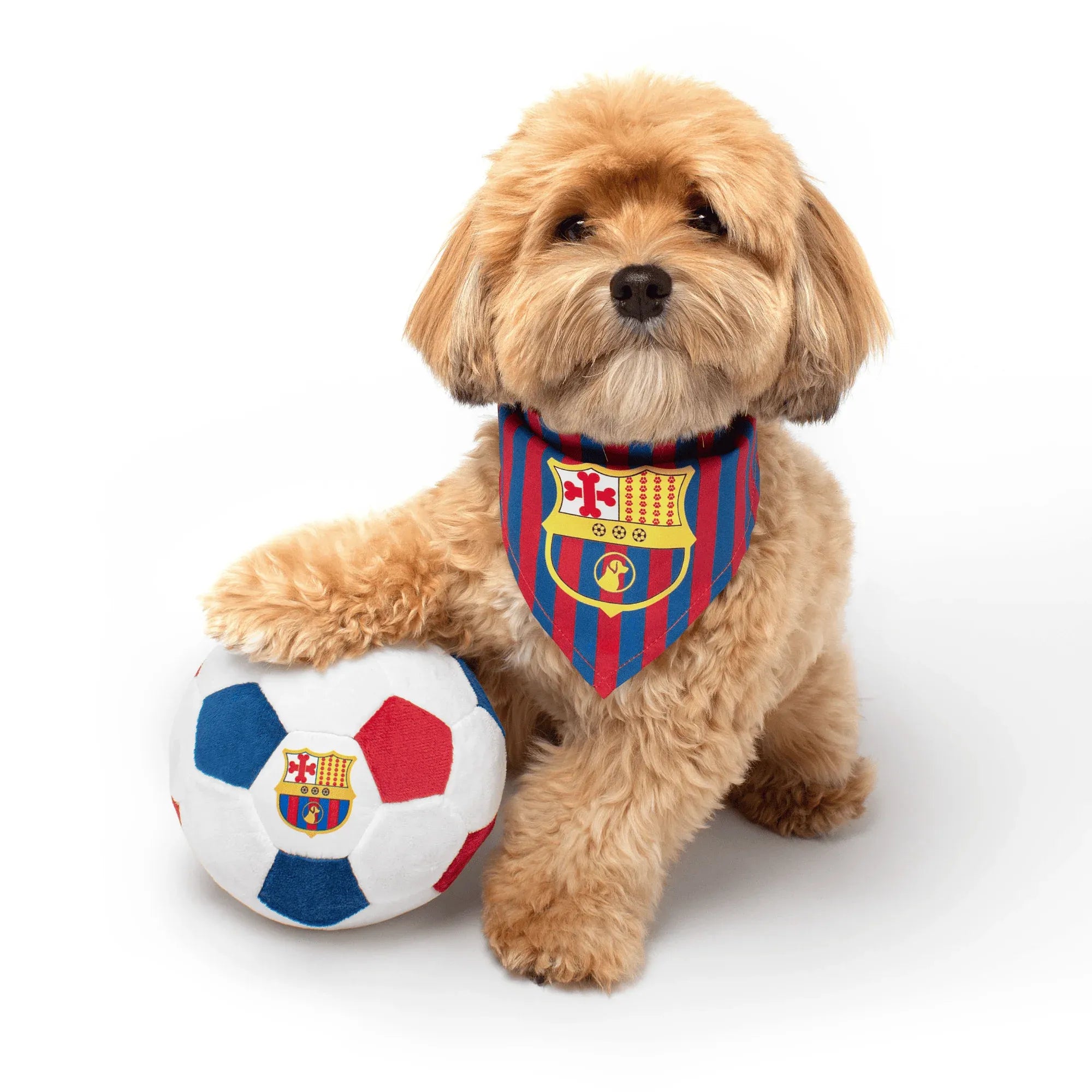 Floofball Barkcelona Dog Bandana (Dog)