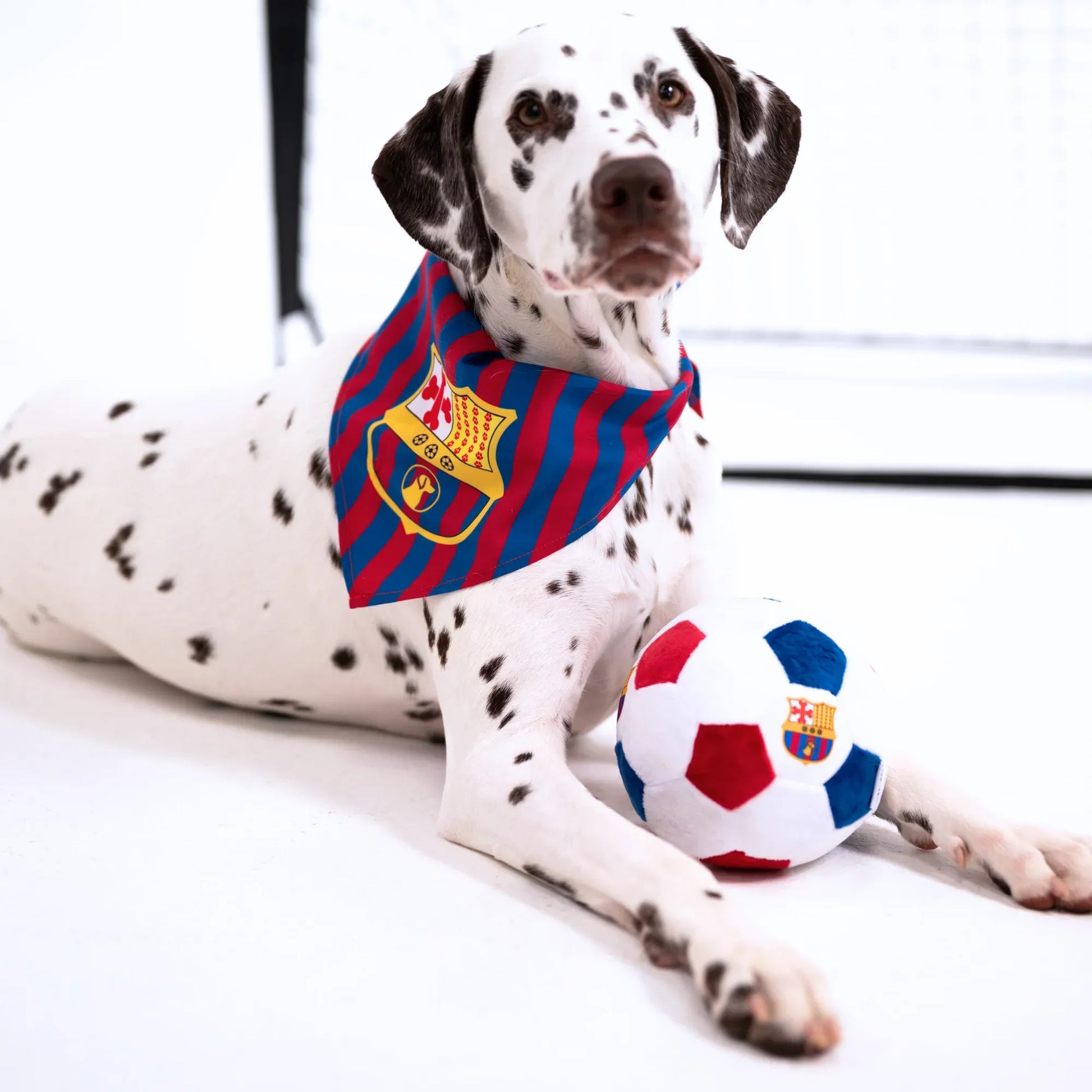 Floofball Barkcelona Plush Soccer Ball - Dog Toy (Dog)