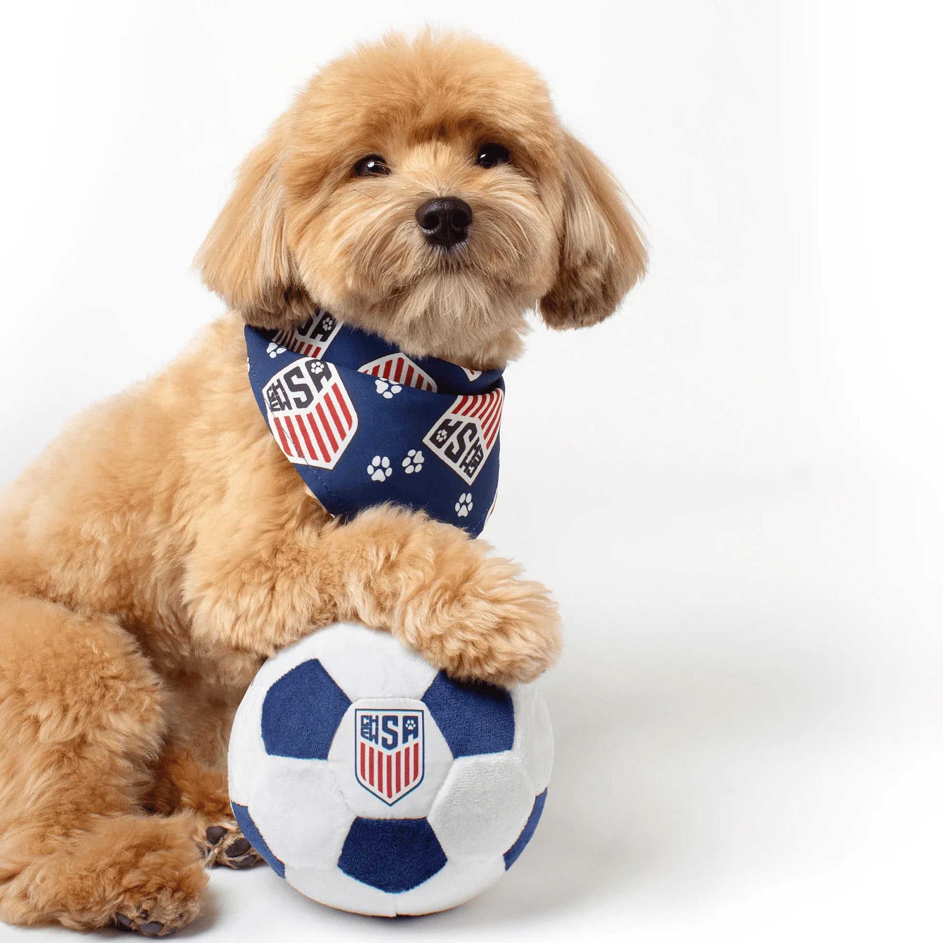 Floofball ChewSA Dog Bandana (Dog)