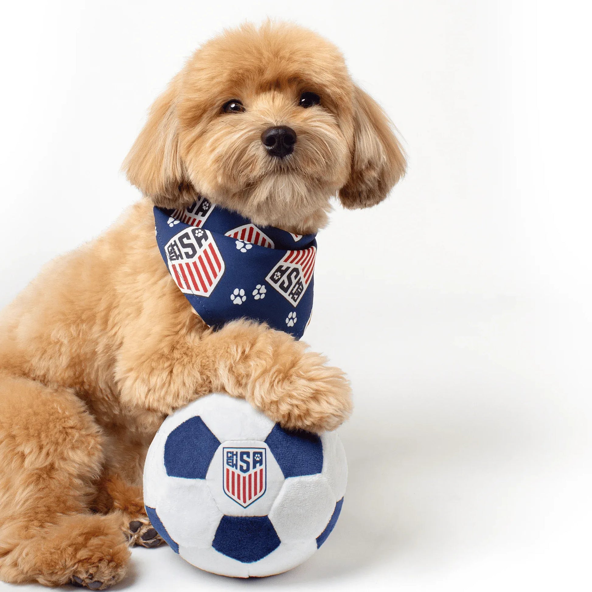 Floofball ChewSA Plush Soccer Ball  Dog Toy (Dog 1)