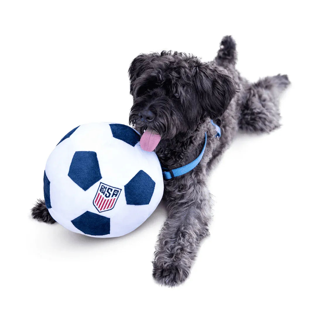 Floofball ChewSA Plush Soccer Ball  Dog Toy (Dog 2)
