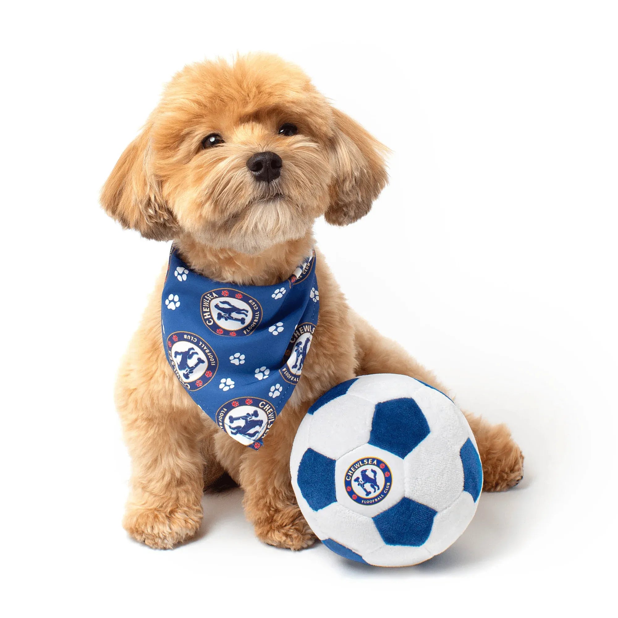 Floofball Chewlsea Plush Soccer Ball - Dog Toy (Dog)