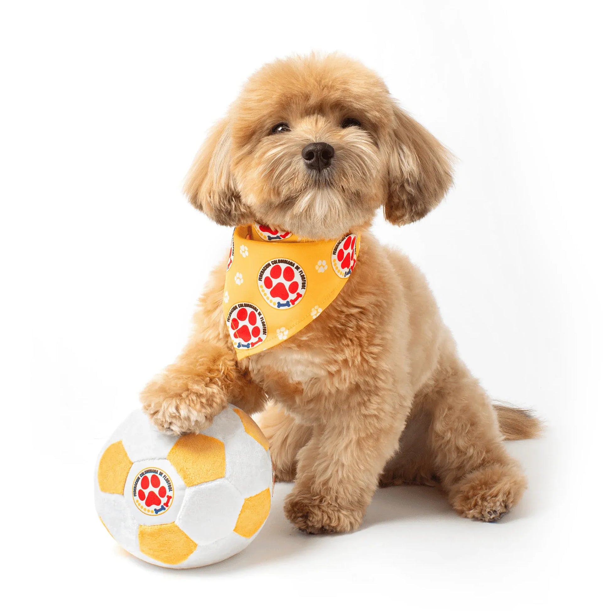 Floofball Colombia Dog Bandana (Dog)
