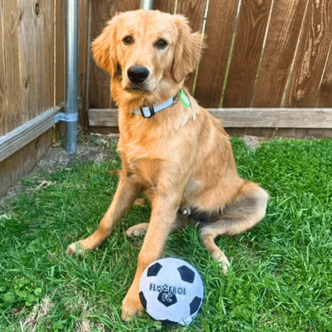 Floofball Floofbol FC Plush Soccer Ball - Dog Toy (Dog)