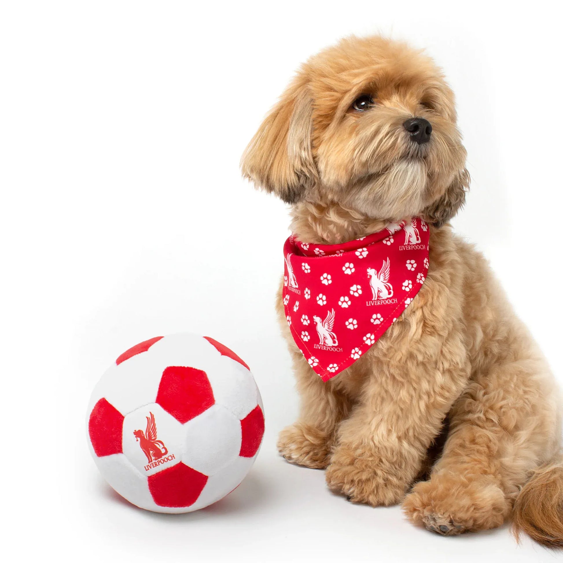 Floofball Liverpooch Dog Bandana (Dog)