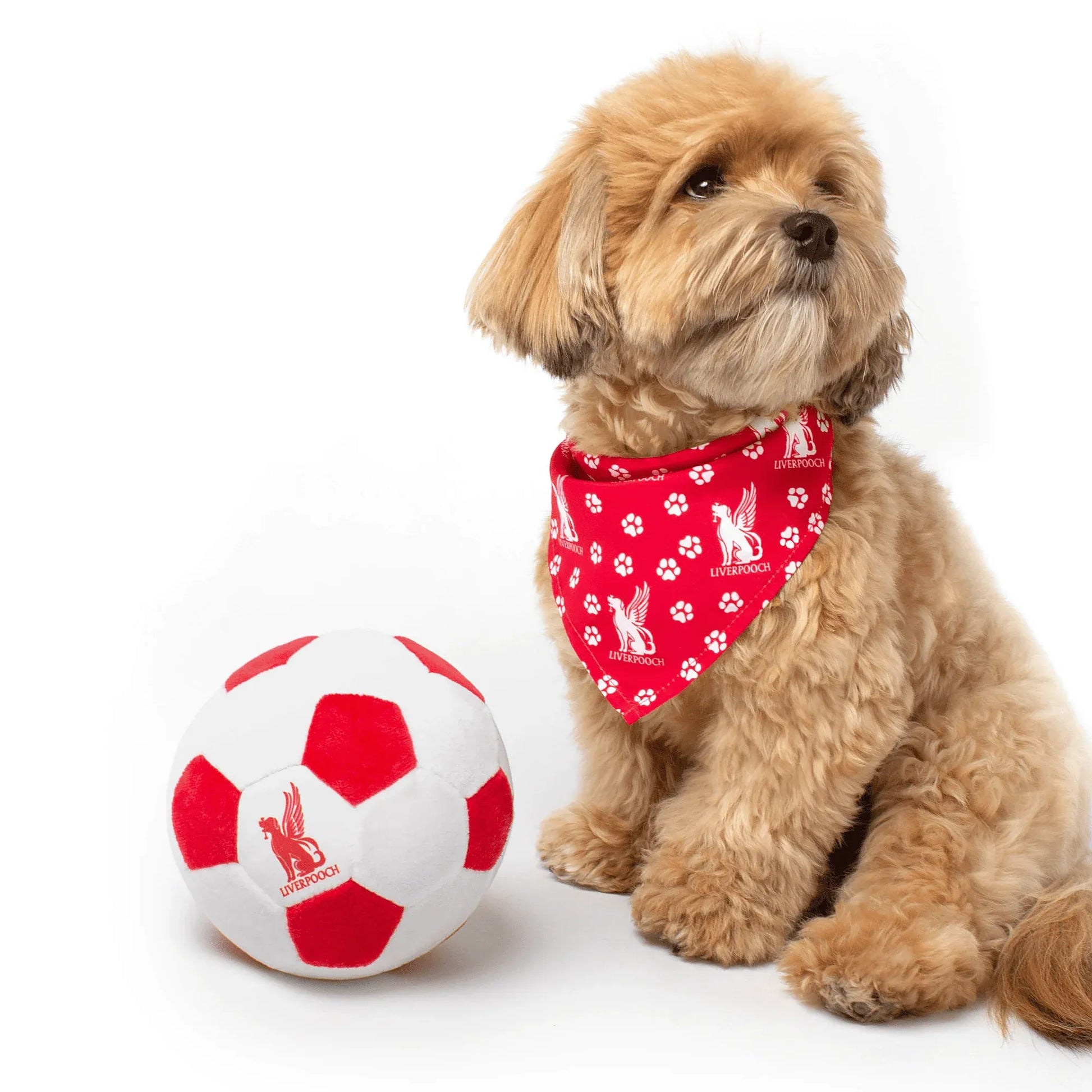 Floofball Liverpooch Plush Soccer Ball - Dog Toy (Dog)