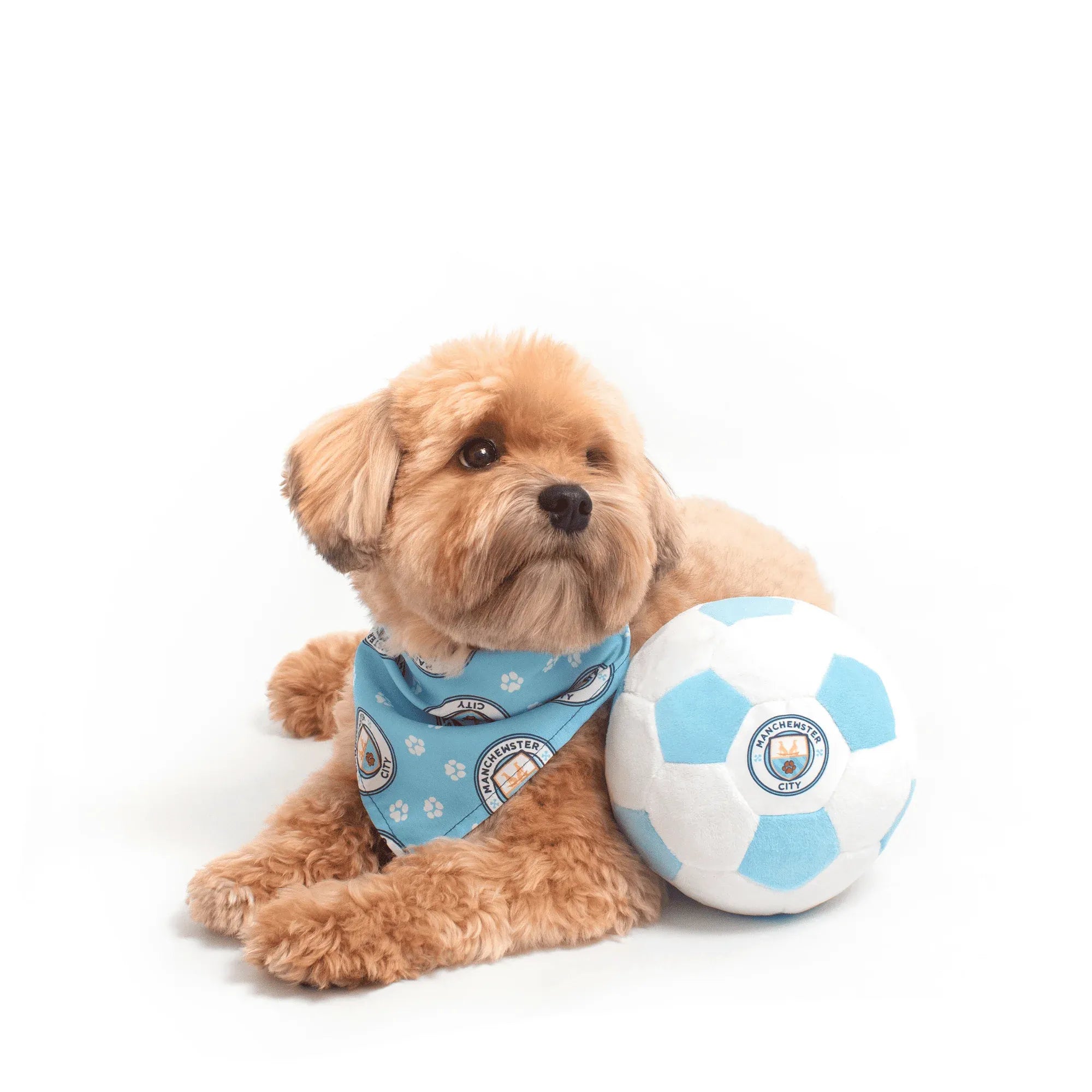 Floofball Manchewster City Plush Soccer Ball - Dog Toy (Dog)