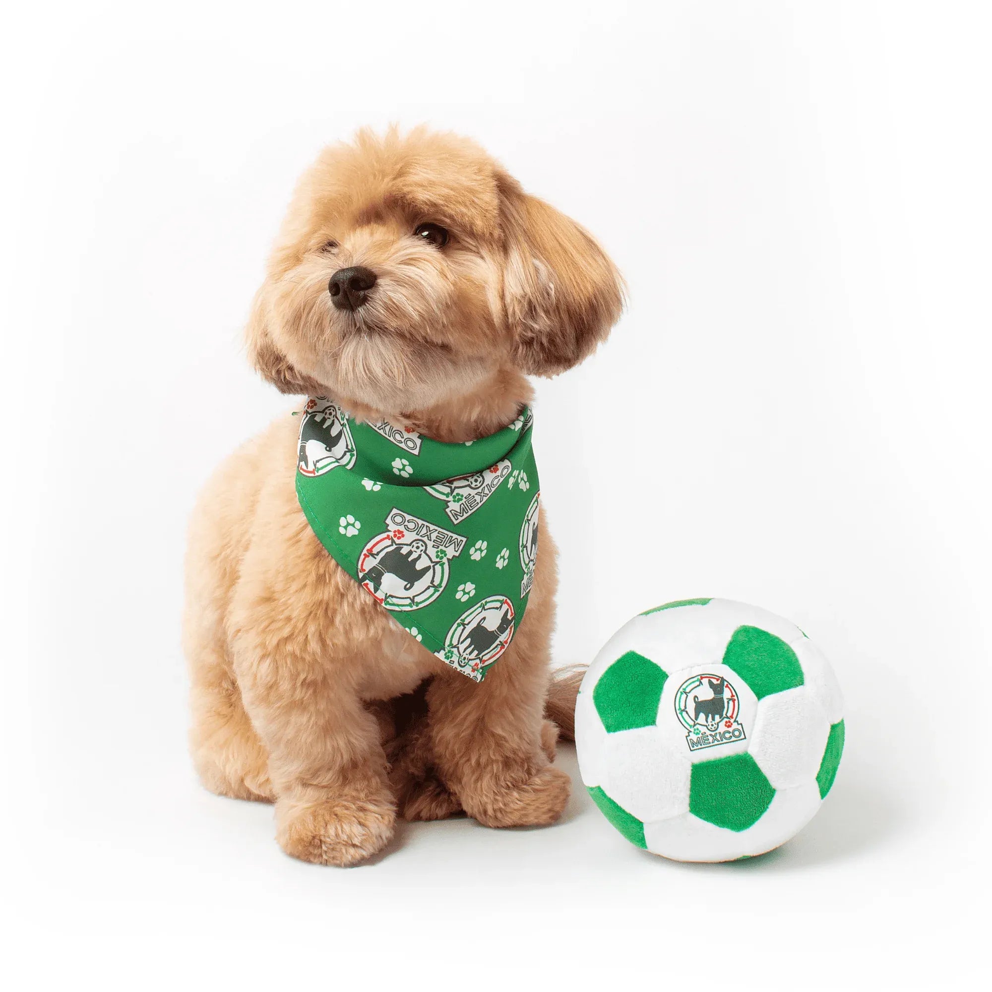 Floofball Mexico Dog Bandana (Dog)