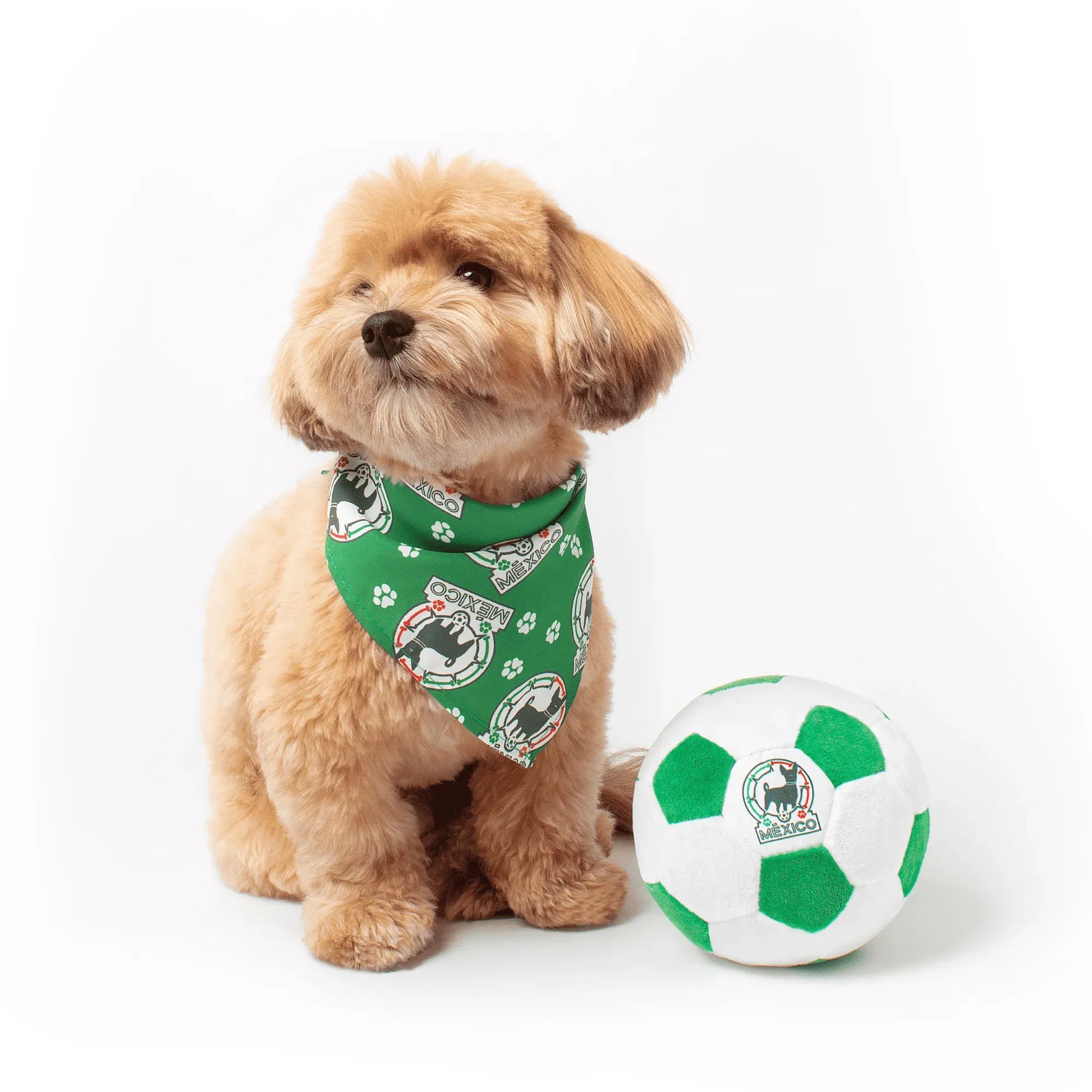 Floofball Mexico Plush Soccer Ball - Dog Toy (Dog)