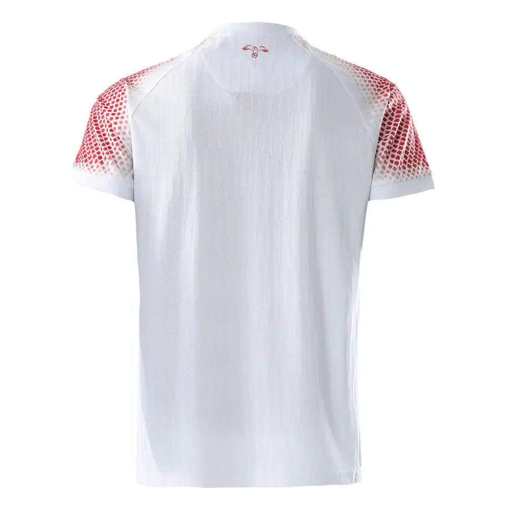 Kelme 2026 Jordan Men's Authentic Home Soccer Jersey (Back)