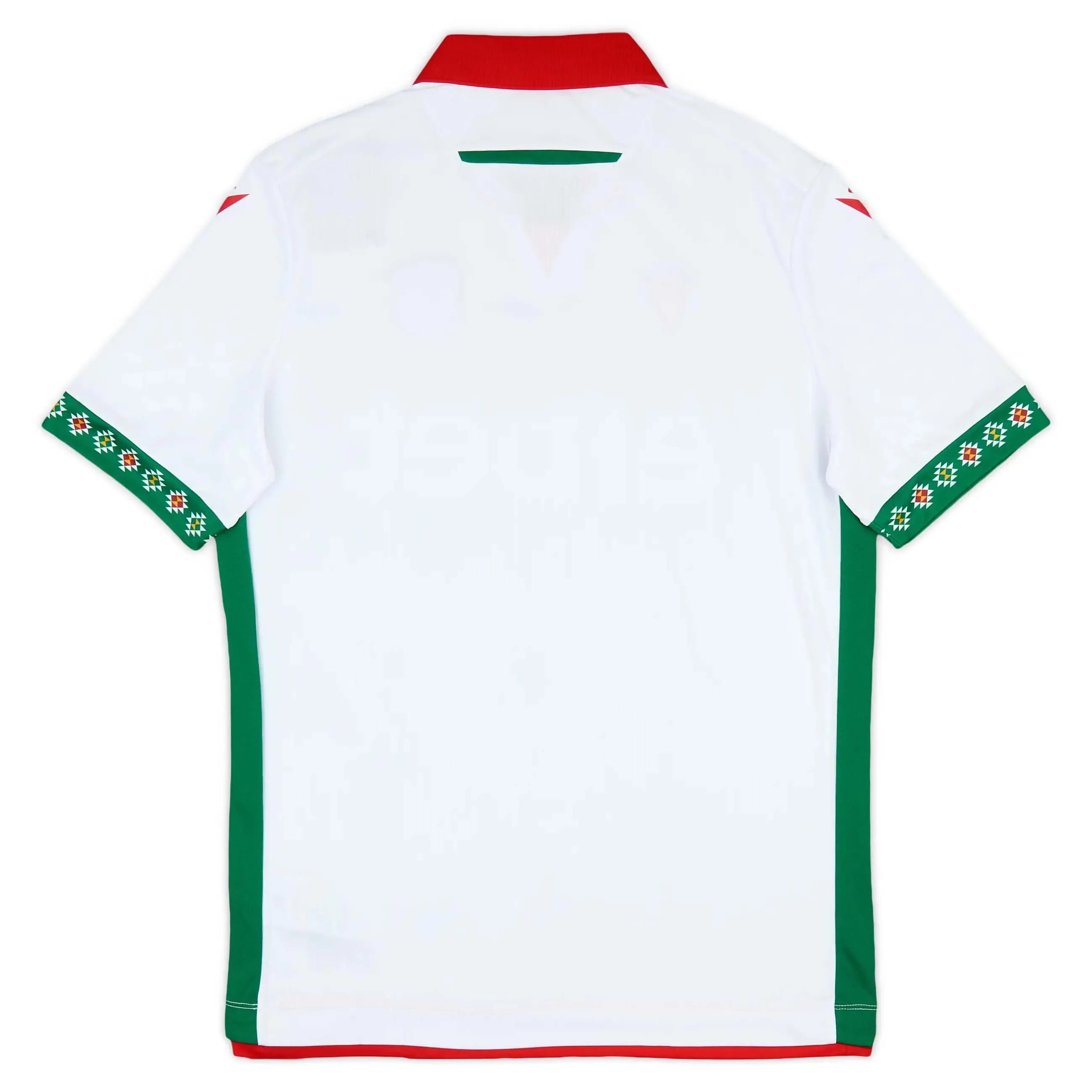 Macron 2025-26 Bulgaria Men's Authentic Home Soccer Jersey Sponsor (Back)