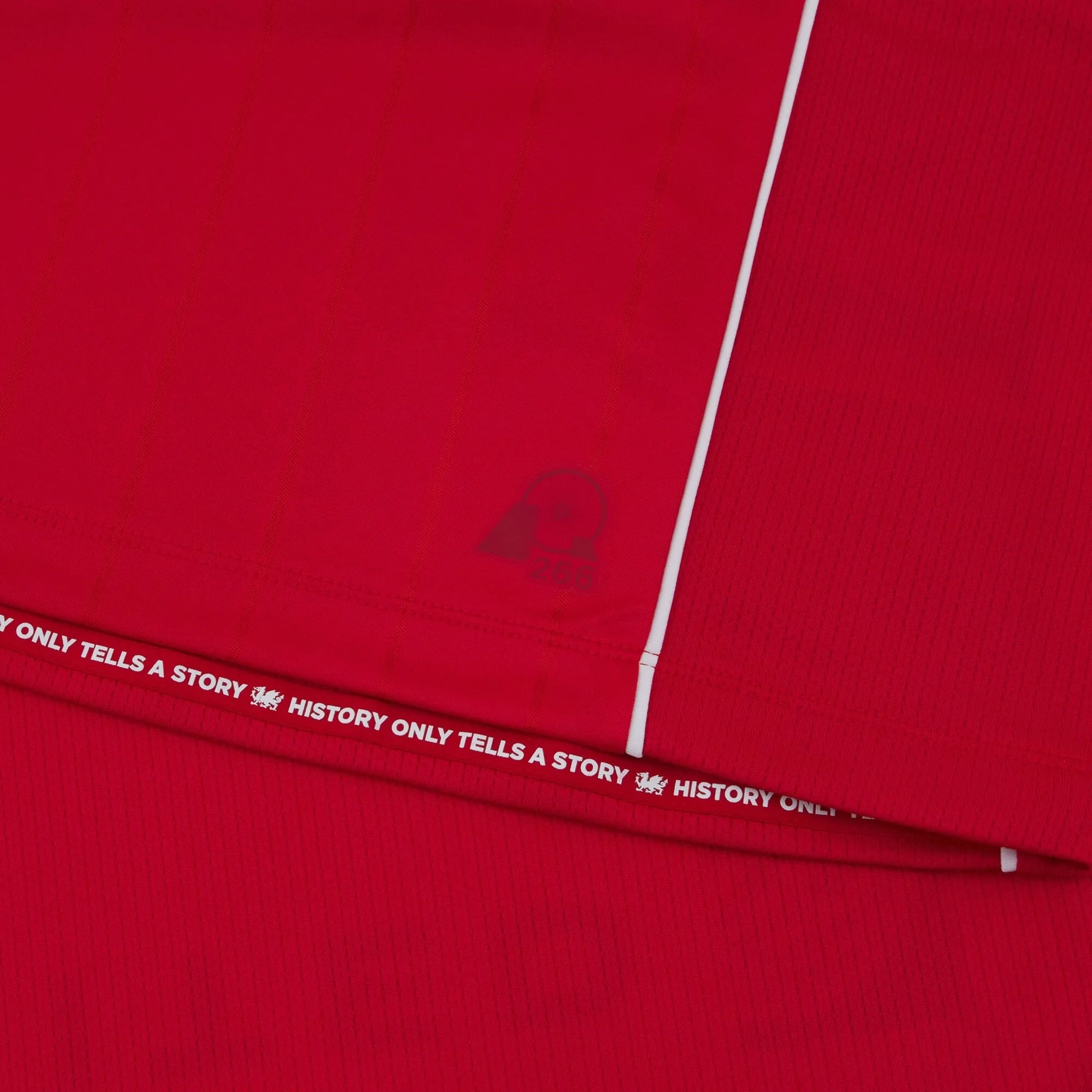 Macron 2025-26 Wrexham Men's Authentic Home Soccer Jersey (Detail 3)