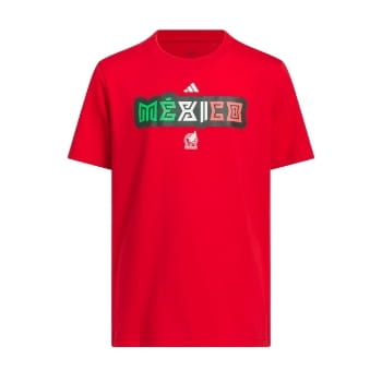 Mexico T-Shirts