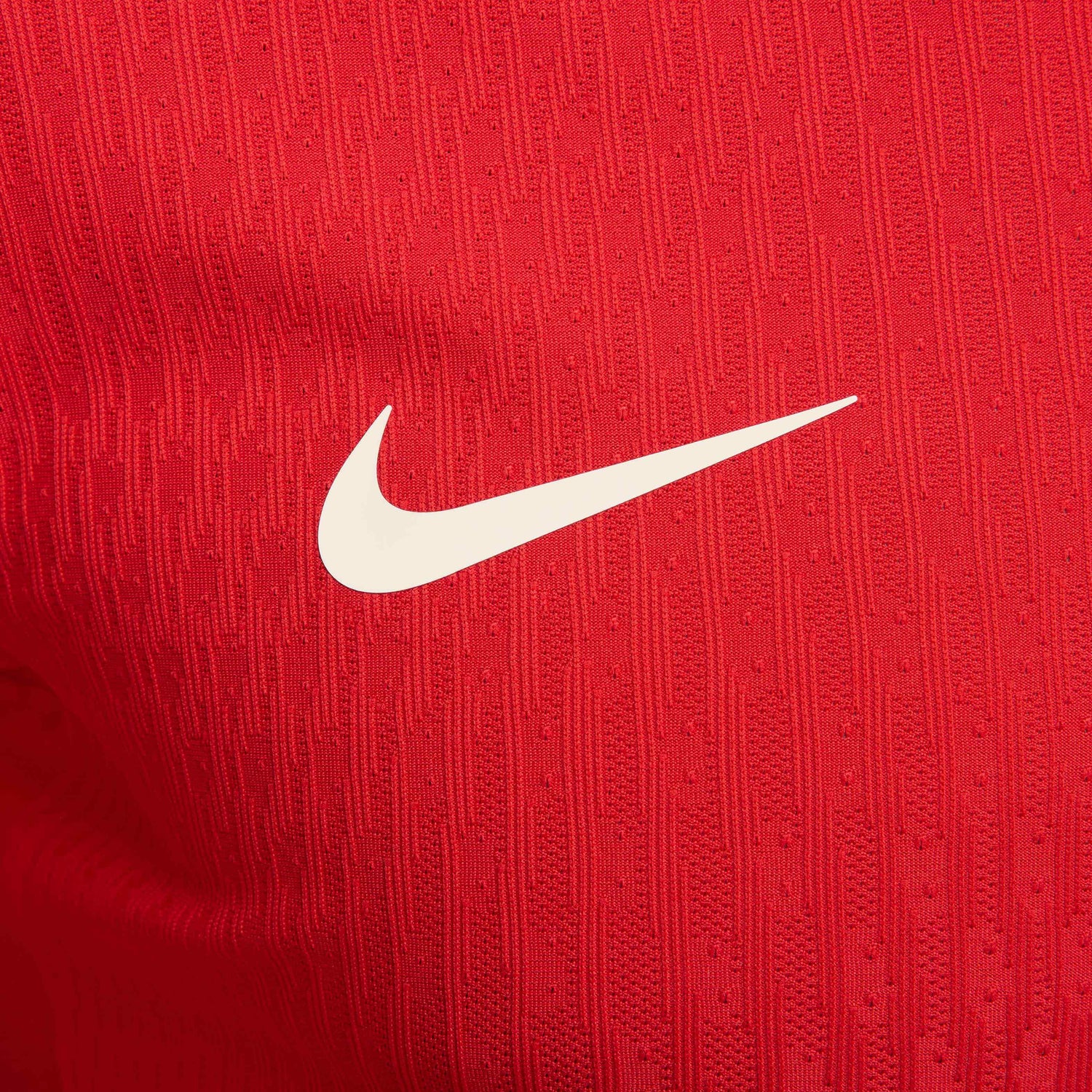 Nike 2024-25 Portugal Authentic Home Jersey (Detail 4)