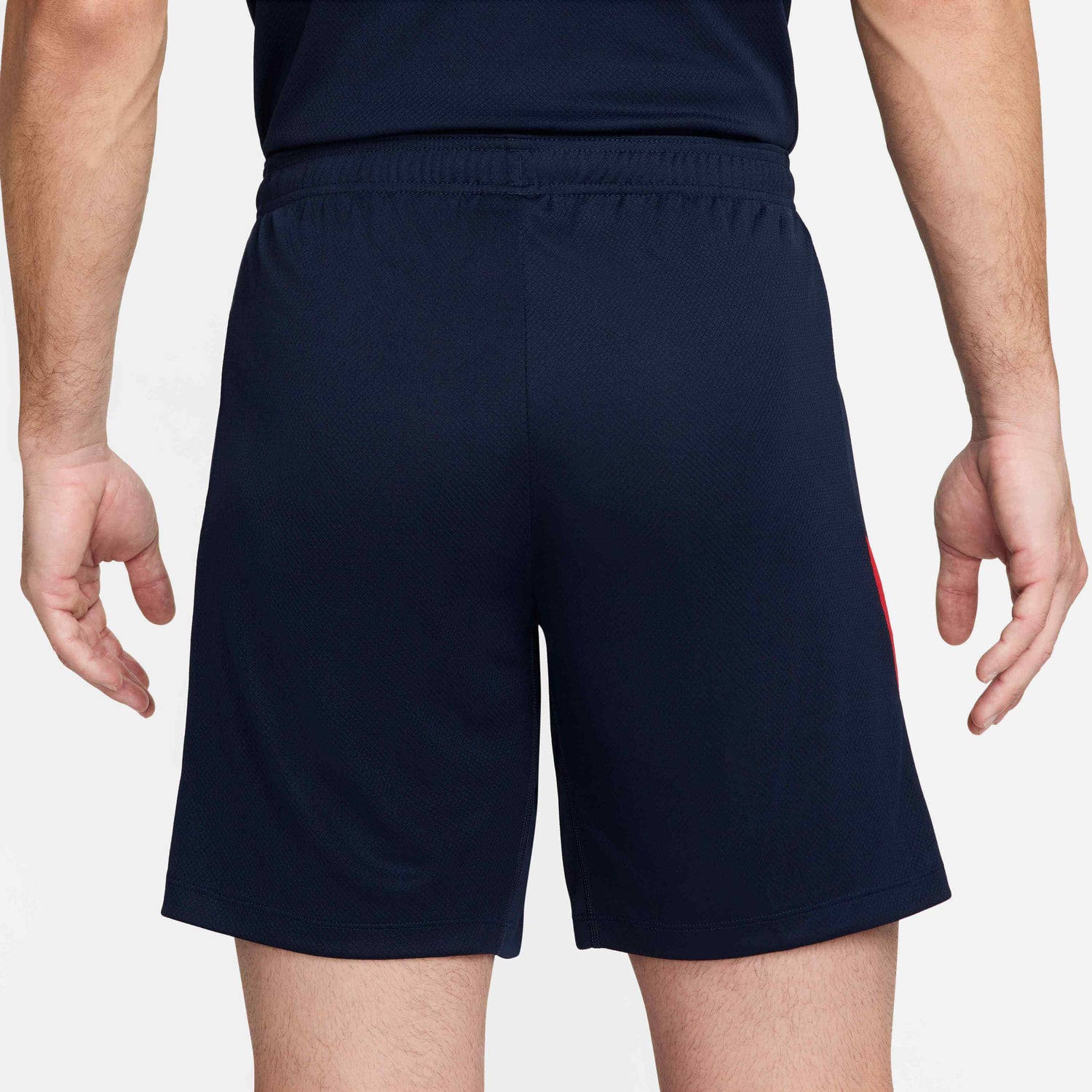 Nike 2024-25 USA Strike Knit Shorts (Back)