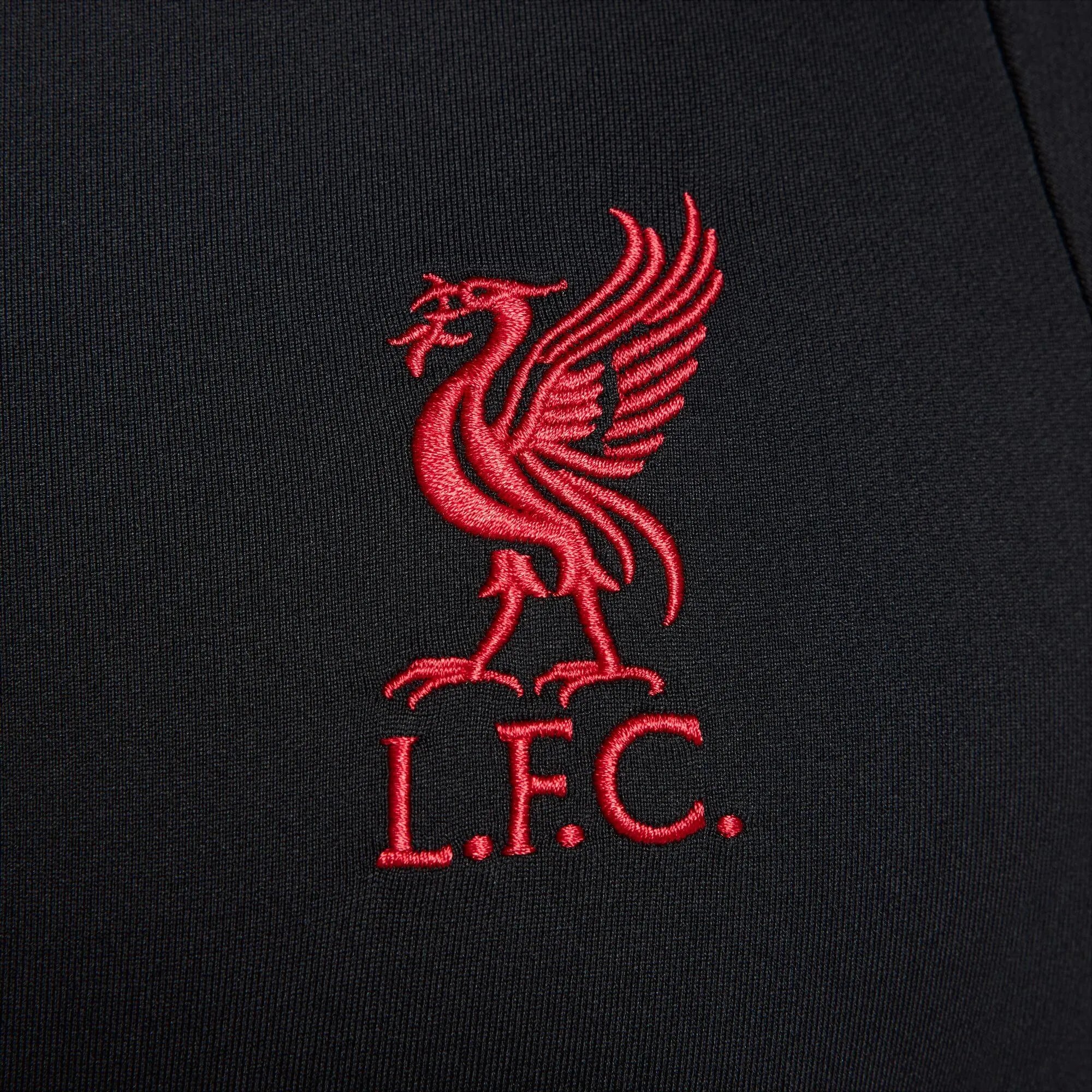 Nike 2025-26 Liverpool Men's Strike Drill Top (Detail 3)