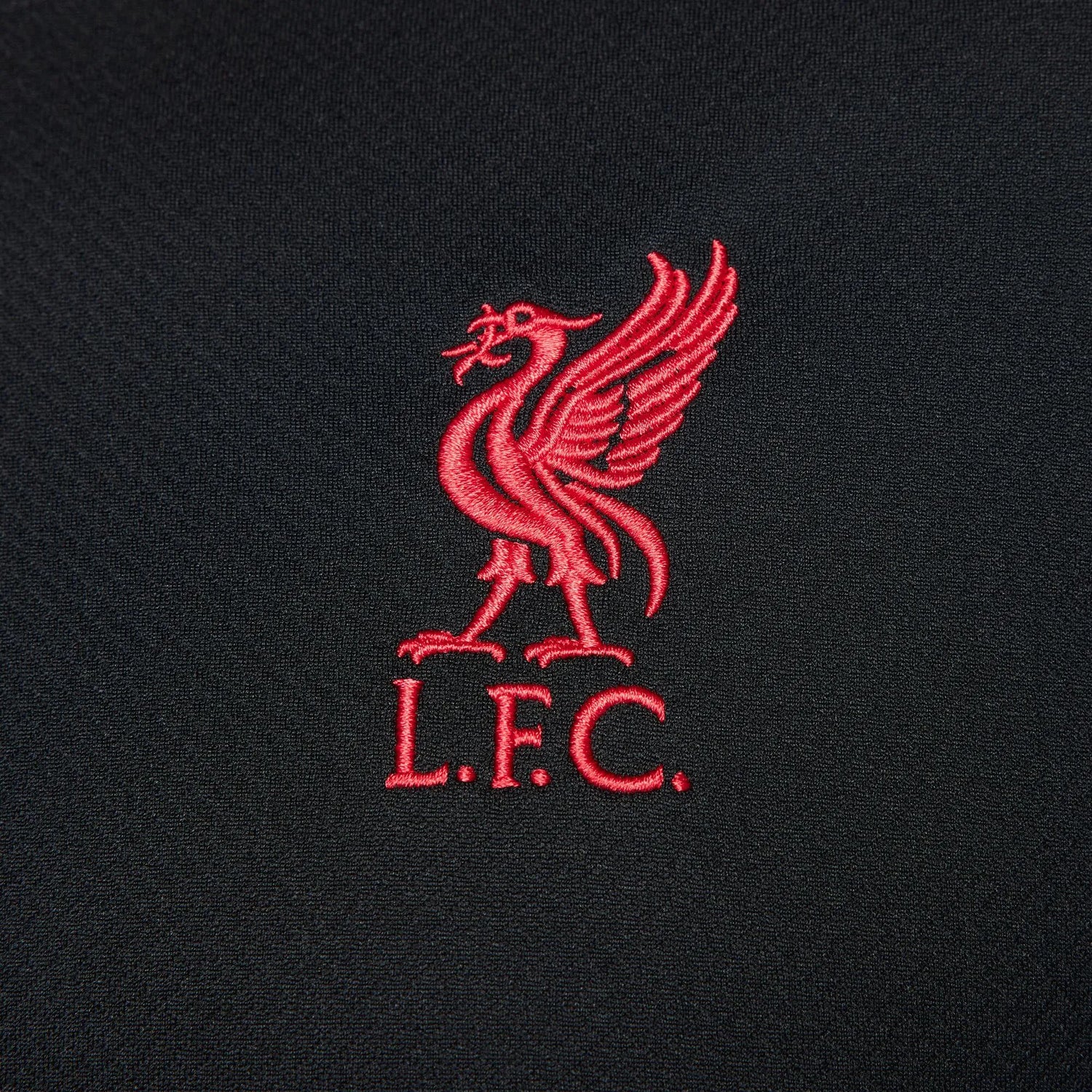 Nike 2025 Liverpool Men's Strike Training Jersey Black/Coconut Milk/Gym Red (Detail 2)