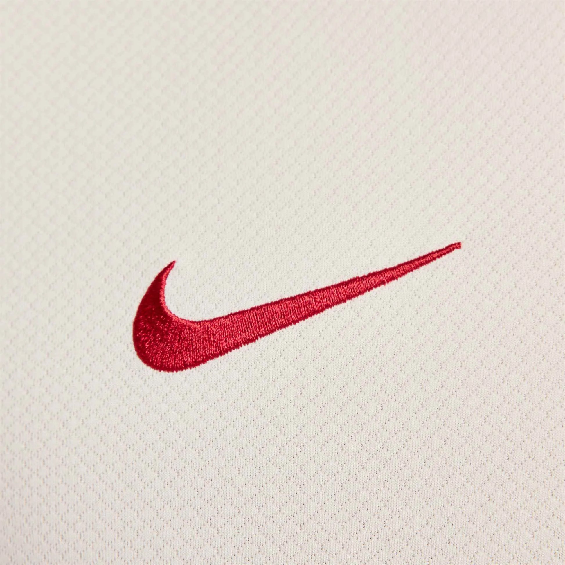 Nike 2025 Liverpool Men's Strike Training Jersey (Detail 4)