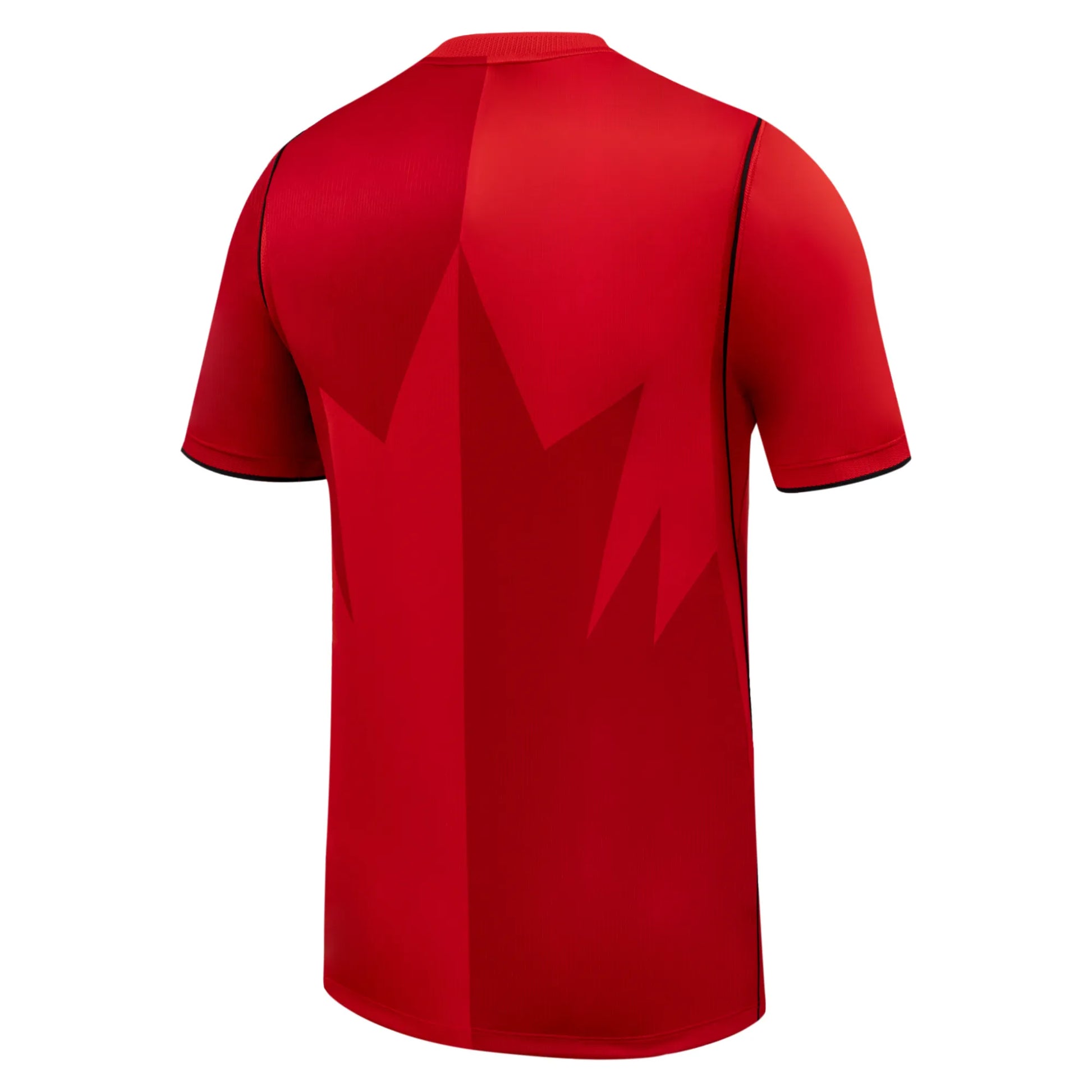 Nike 2026-27 Canada Men's Stadium Home Soccer Jersey (Back)
