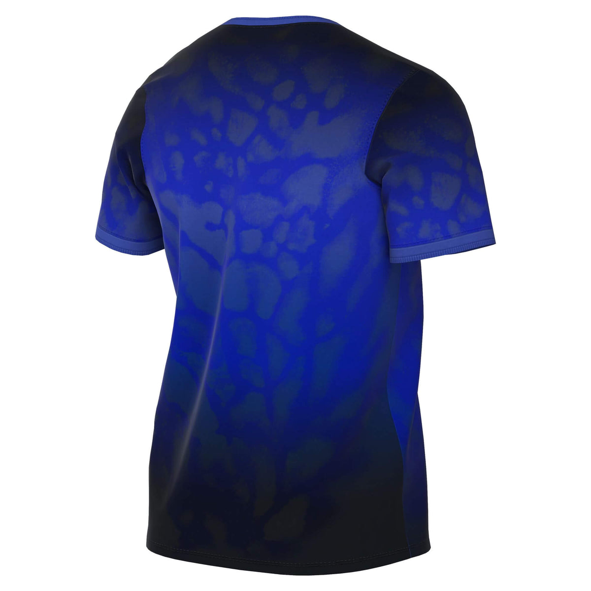 Nike 2026 Brazil Men's Academy Pro Pre-Match Top (Back)