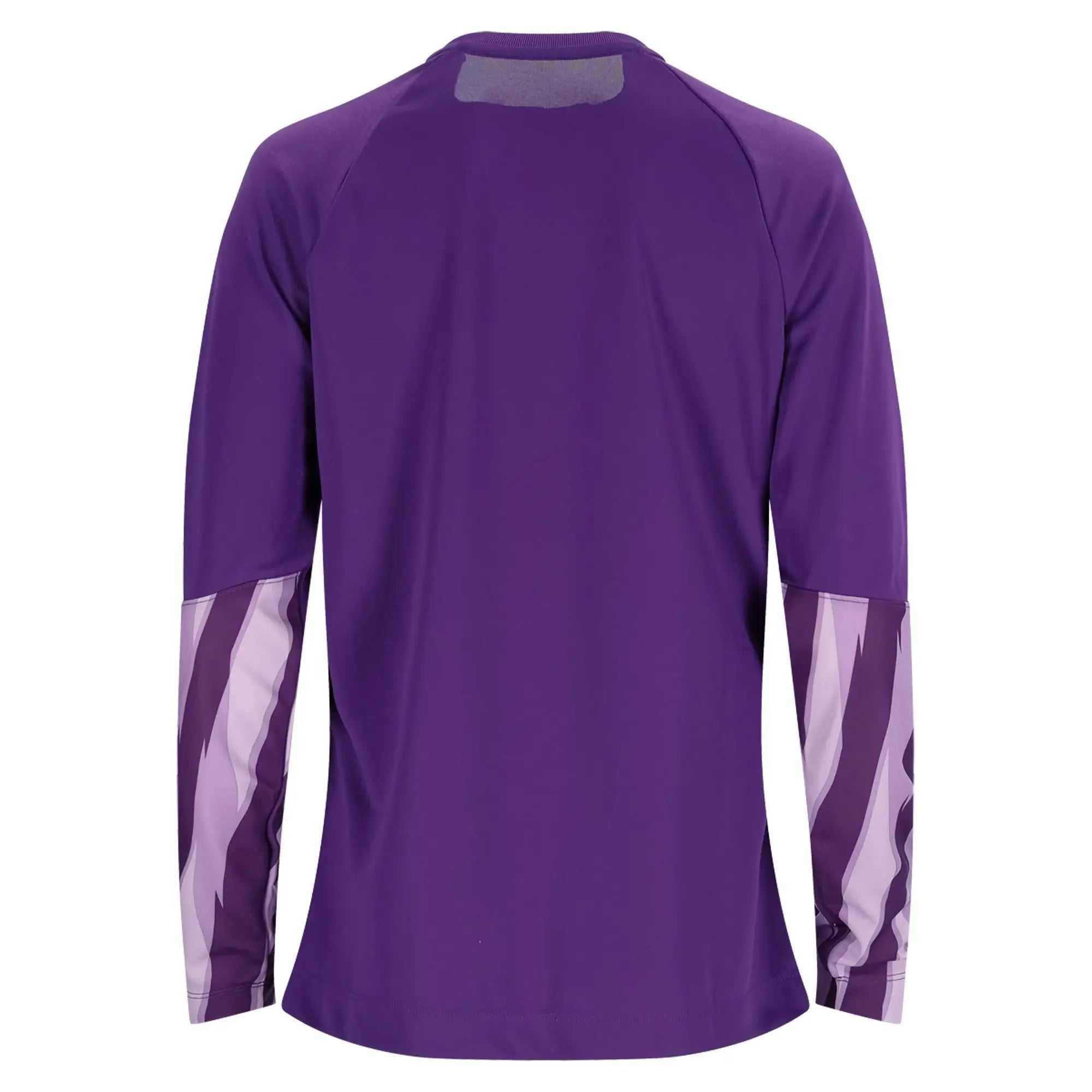 Nike Women's Park V Long-Sleeve Goalkeeper Soccer Jersey Purple (Back)