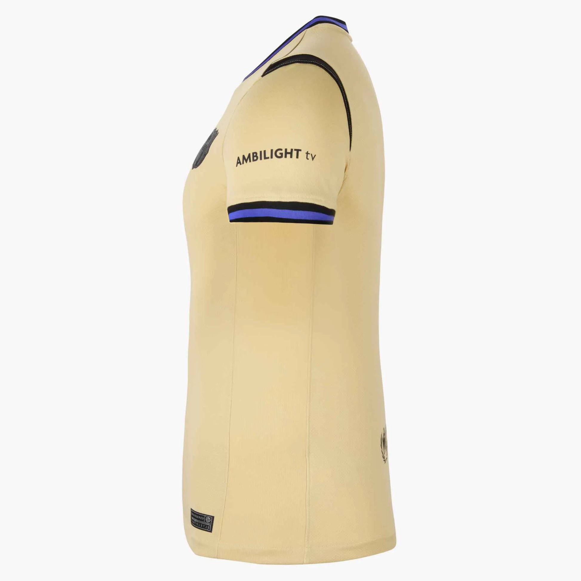 Nike 2025-26 Barcelona Women's Stadium Away Soccer Jersey (Side)