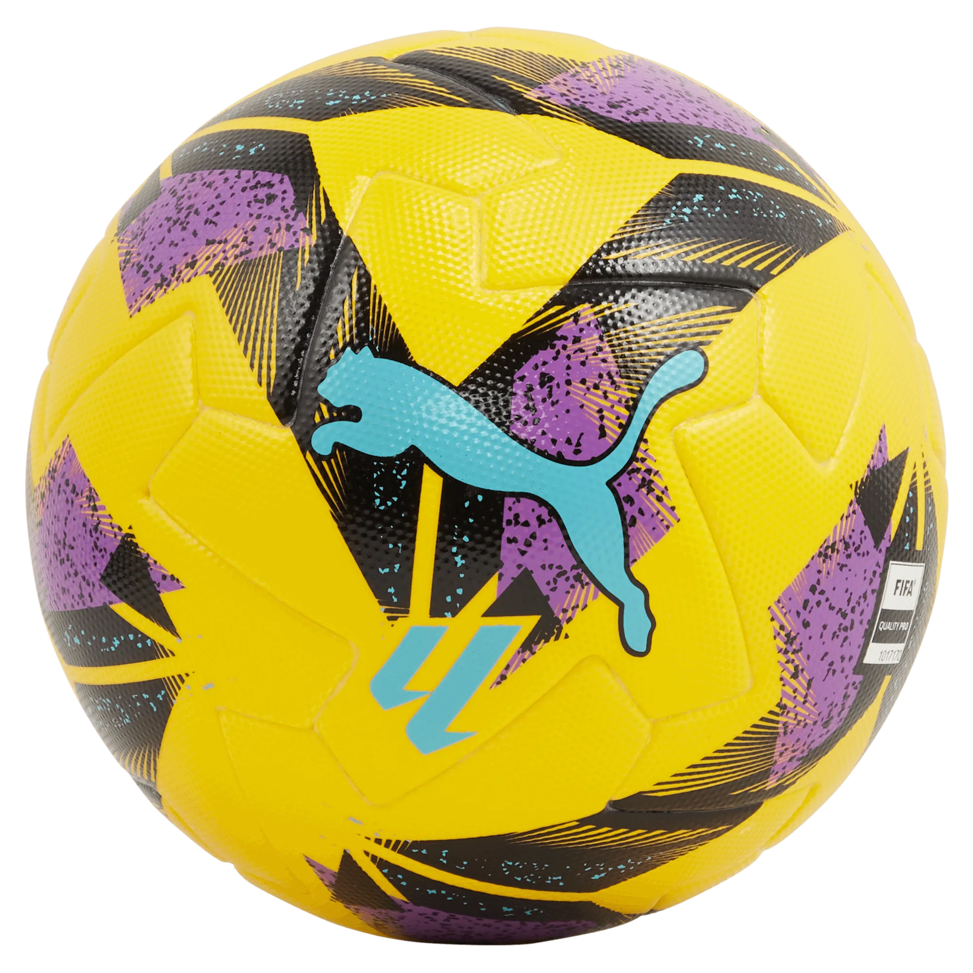 Puma2024-