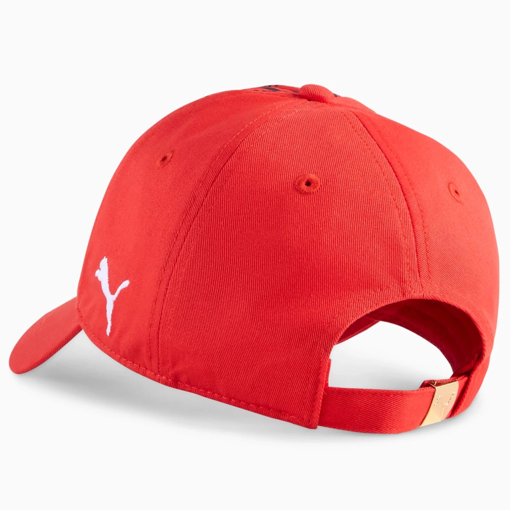 Puma 2025-26 Chivas Culture Cap (Back)