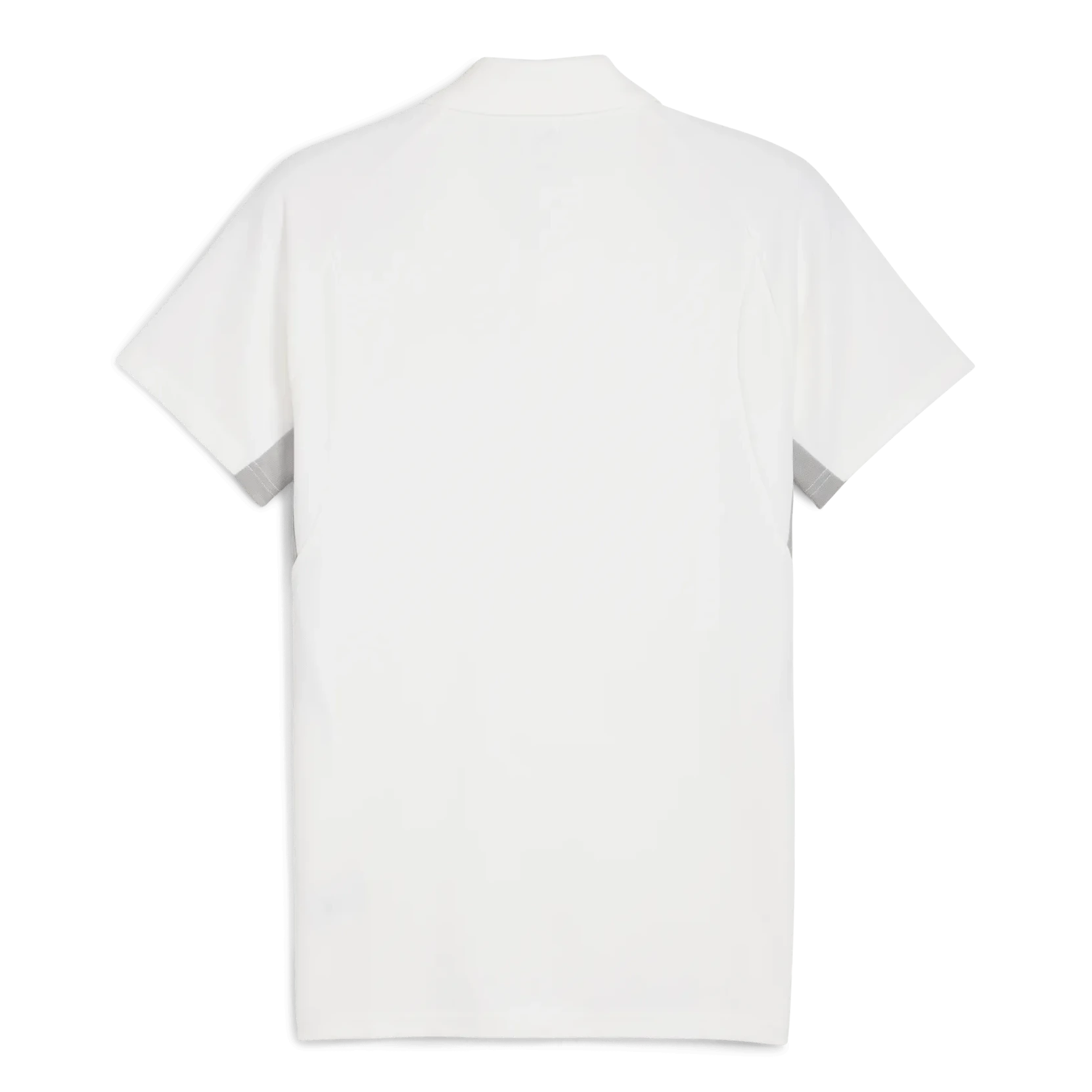 Puma 2025-26 Chivas Men's EVOSTRIPE Polo (Back)