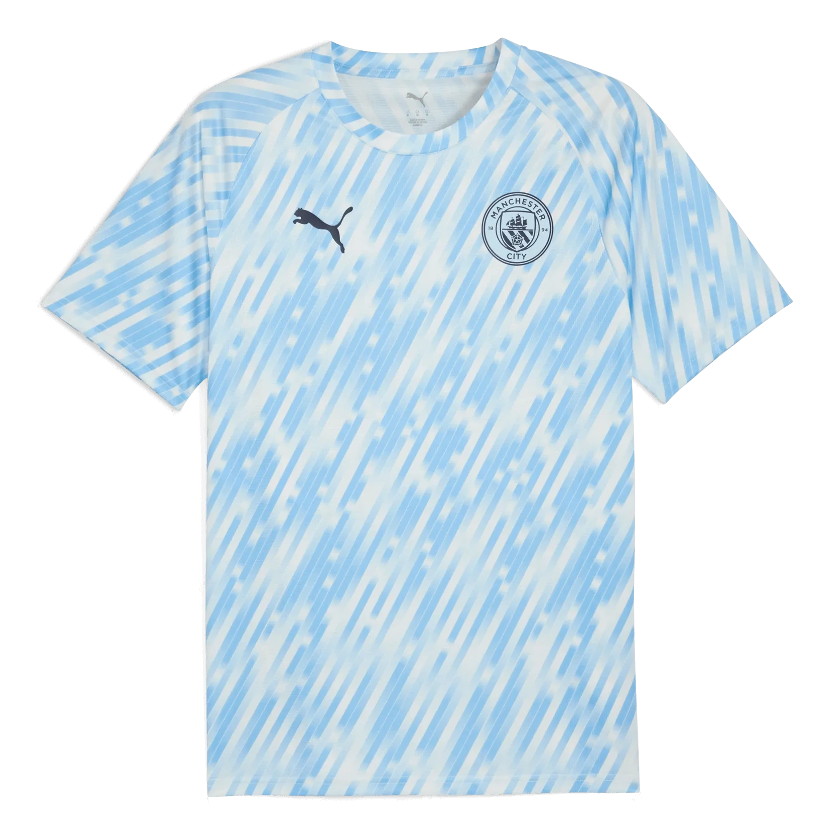 Puma 2025-26 Manchester City Men's Pre-Match Soccer Jersey Silver Sky (Front)
