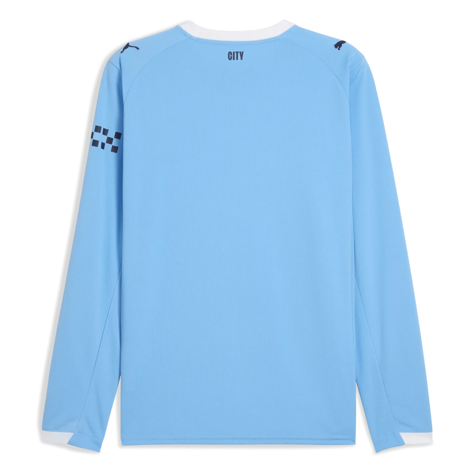 Puma 2025-26 Manchester City Men's Stadium Home Long-Sleeve Soccer Jersey (Back)