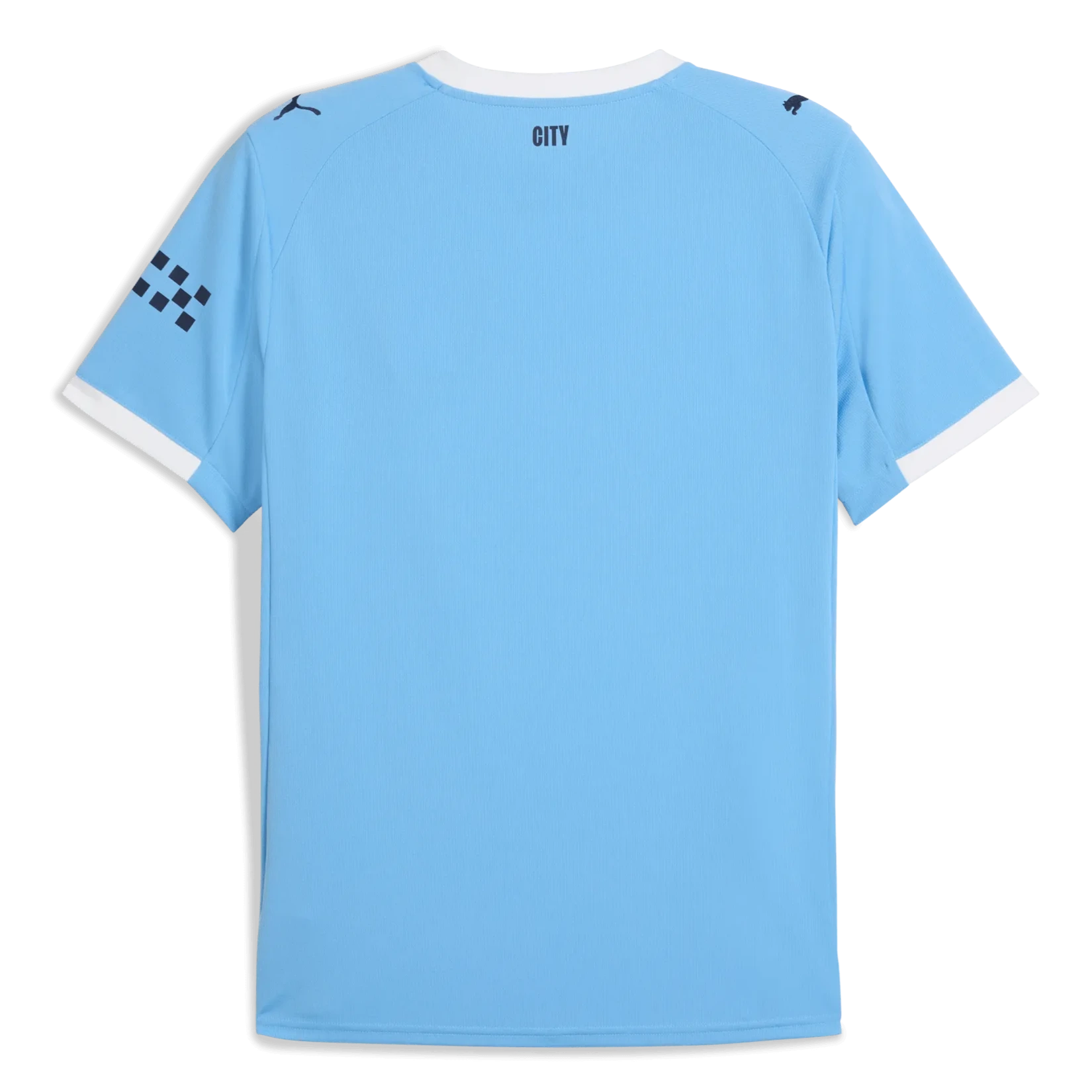 Puma 2025-26 Manchester City Men's Stadium Home Soccer Jersey (Back)