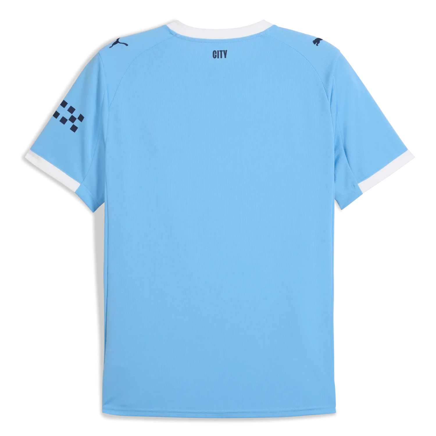 Puma 2025-26 Manchester City Men's Stadium Home Soccer Jersey (Back)